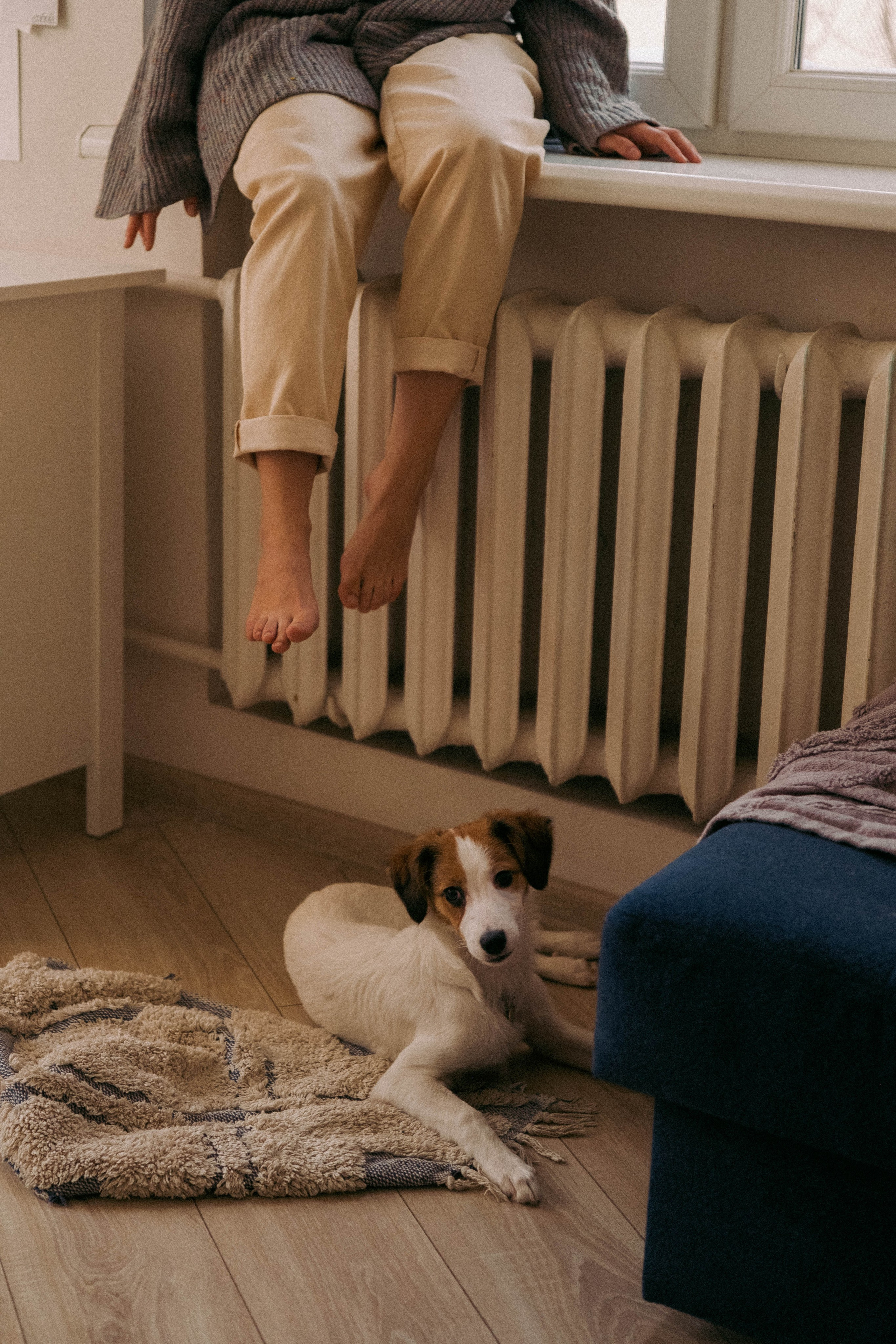 Лика и Клео. Свадебный фотограф Оля Григунова