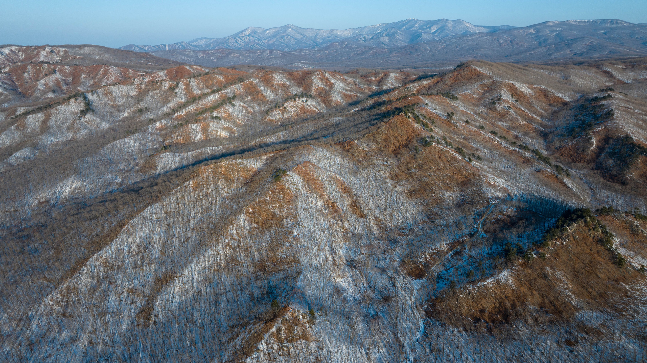 Турист оптимист