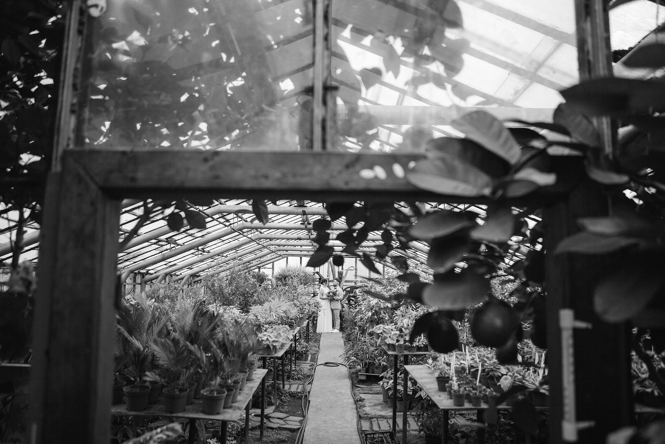 АЛЕКСАНДР И ЕЛИЗАВЕТА. Фотограф на любое мероприятие