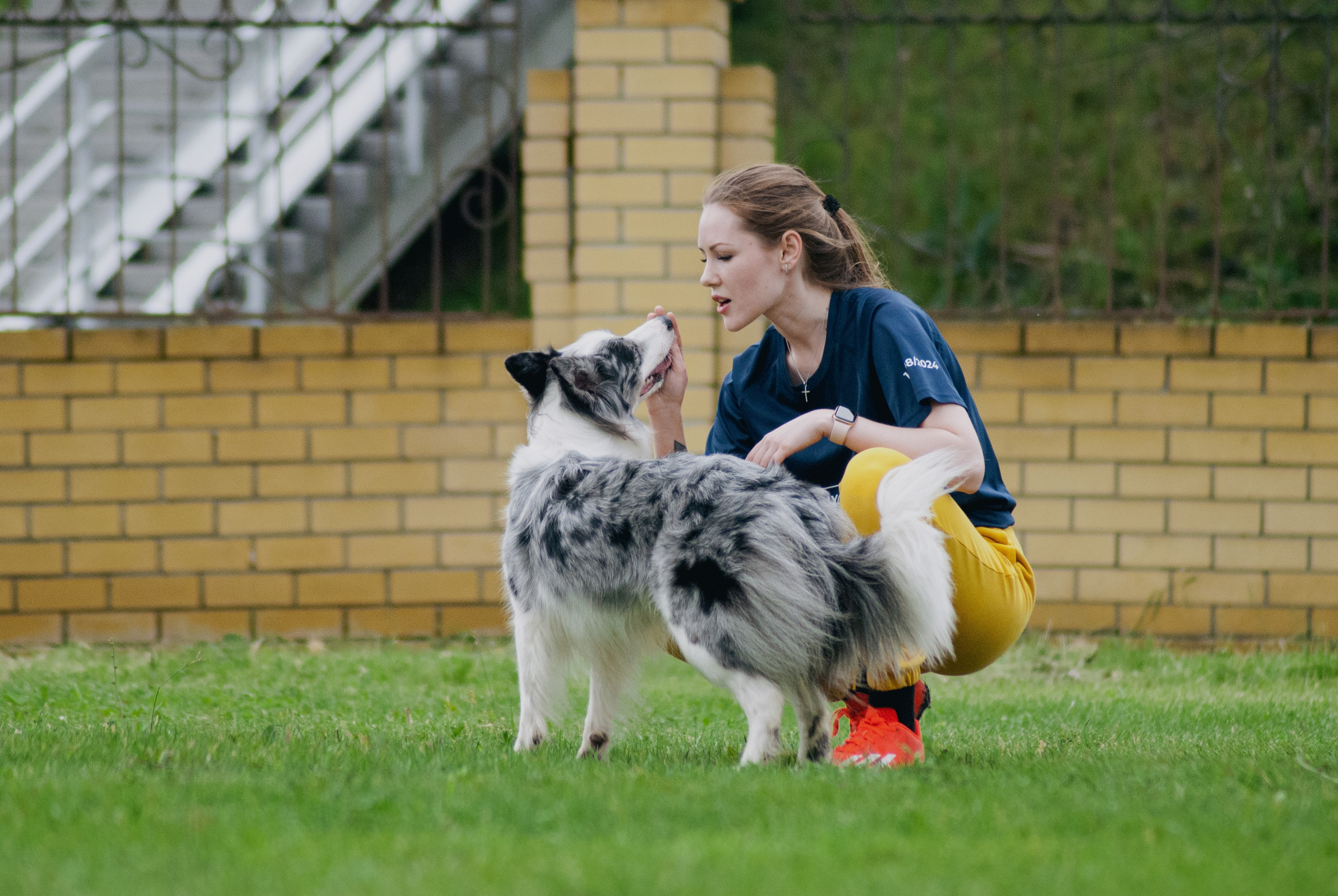 Аджилити. Фотограф в Тюмени Лизавета Сапицкая