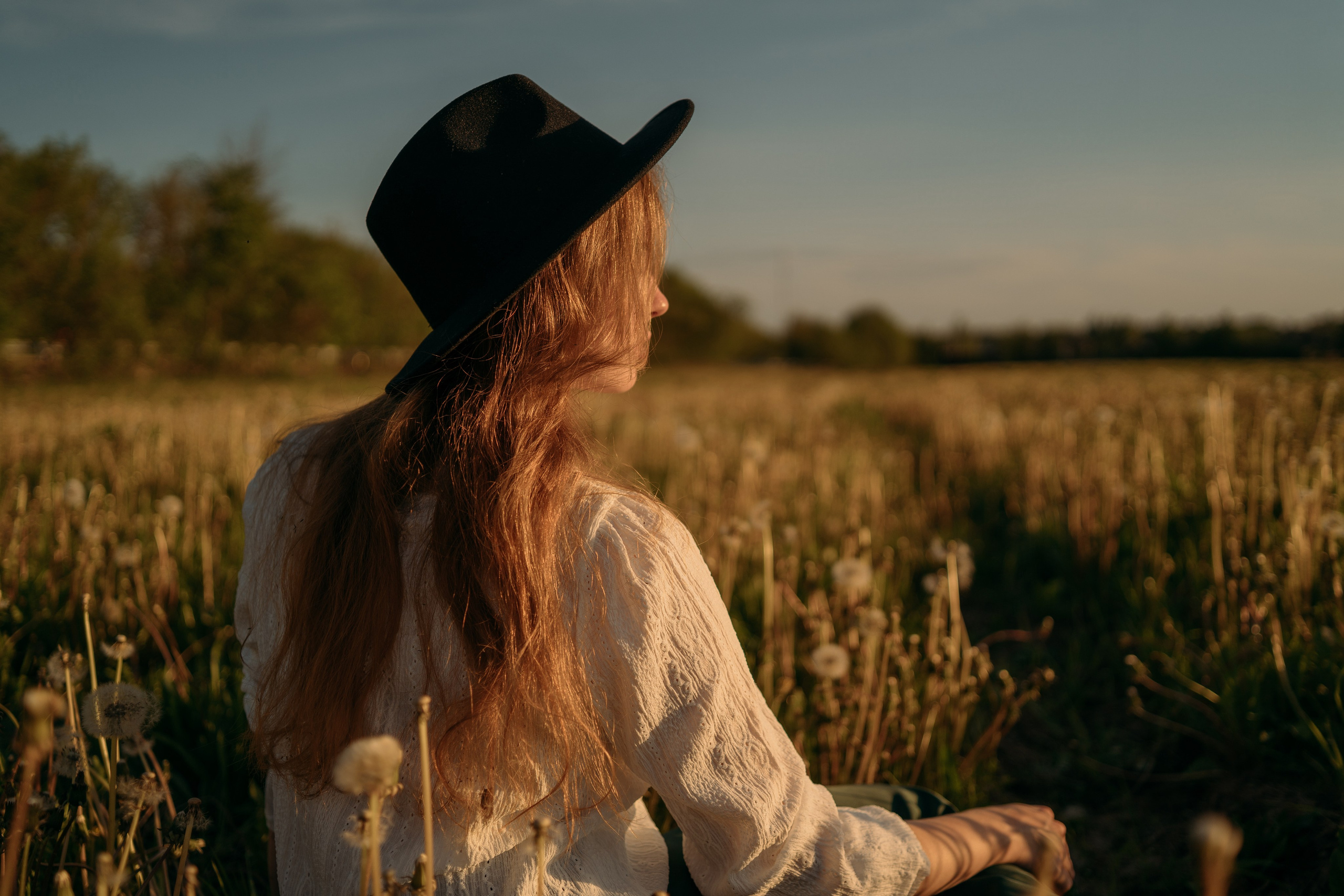 Одуванчики…. FotoTanya. Раменское/Жуковский/Бронницы