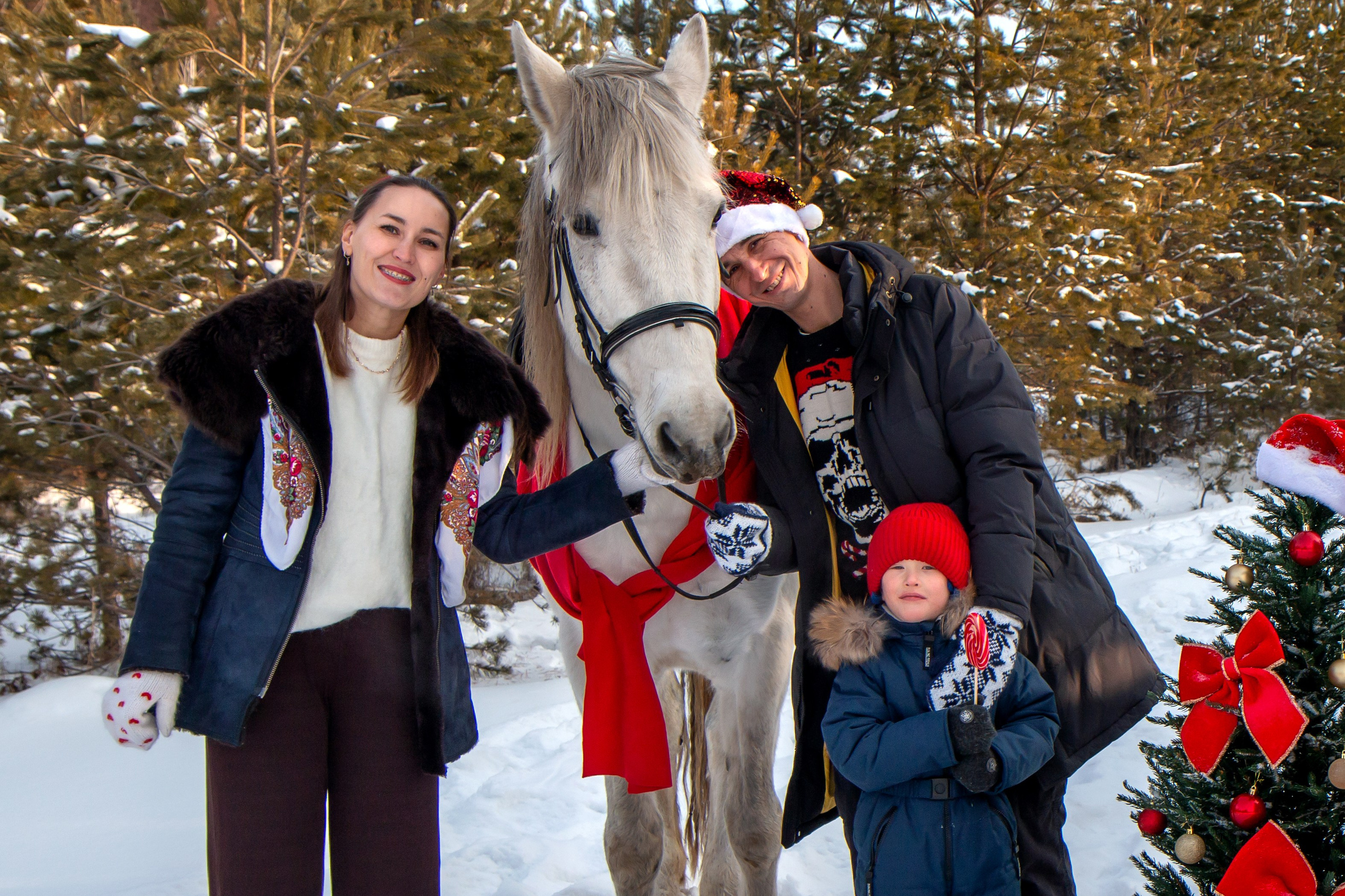 Анастасия с семьей. Участники «Новогоднего фотопроект с лошадью». Фотограф в Шелехове, лучшие выпускные альбомы в Шелехове