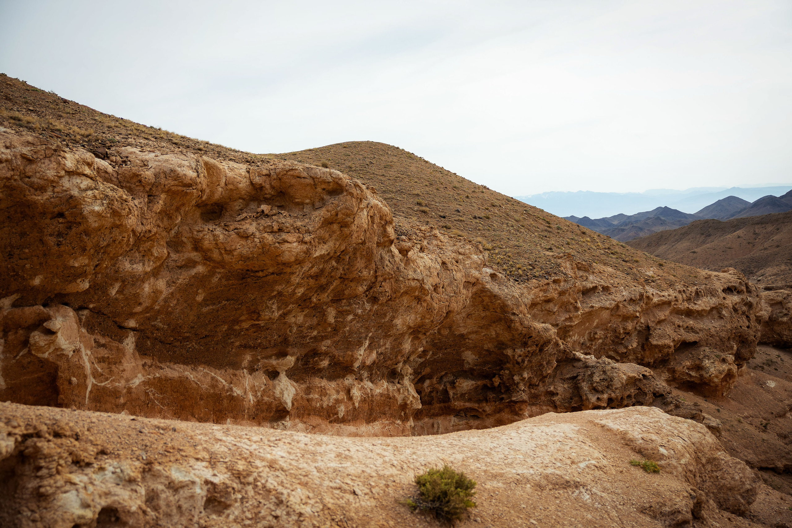 Казахстан (осень 2024). Фотограф Виноградов Константин