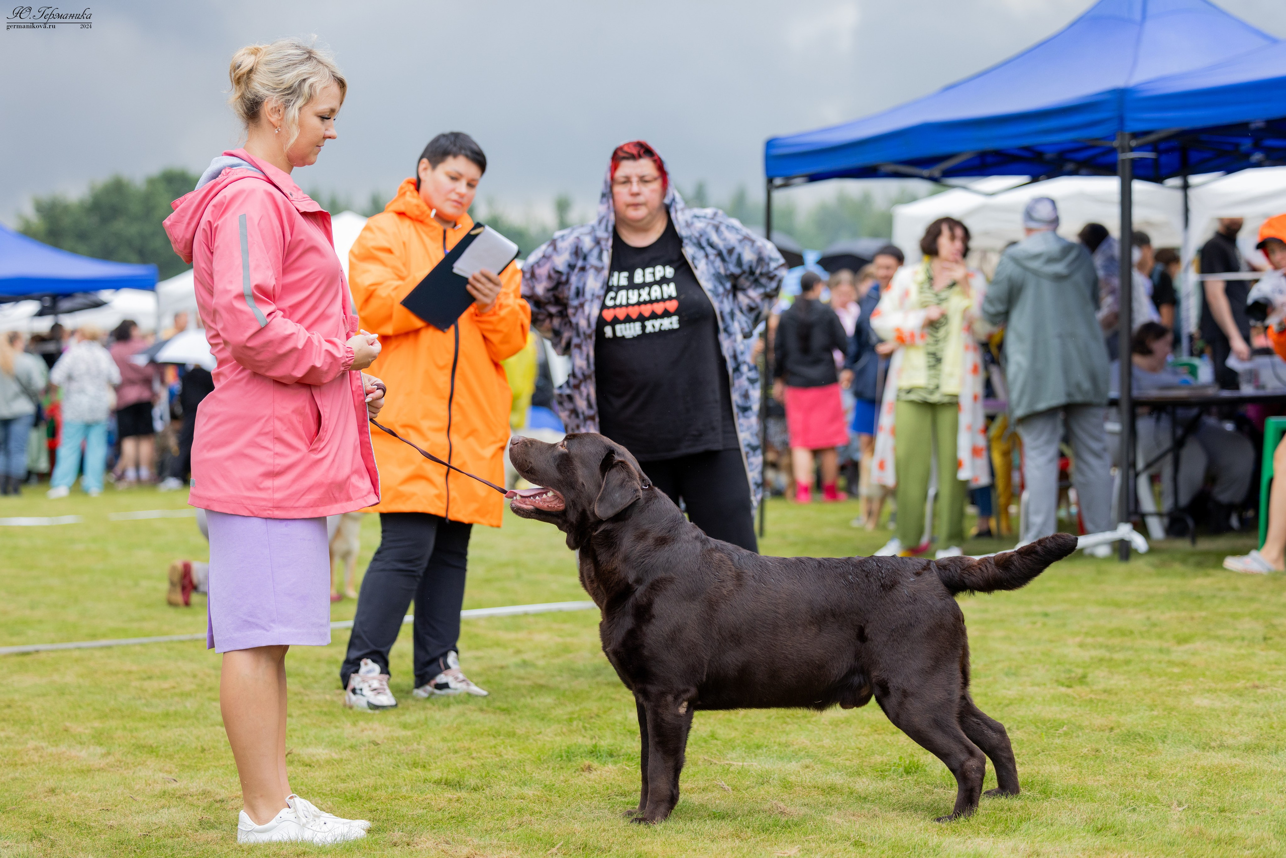 Ярославль 21.07.24 и Балашиха 13.07.24. Фотограф-анималист Юлия Германика