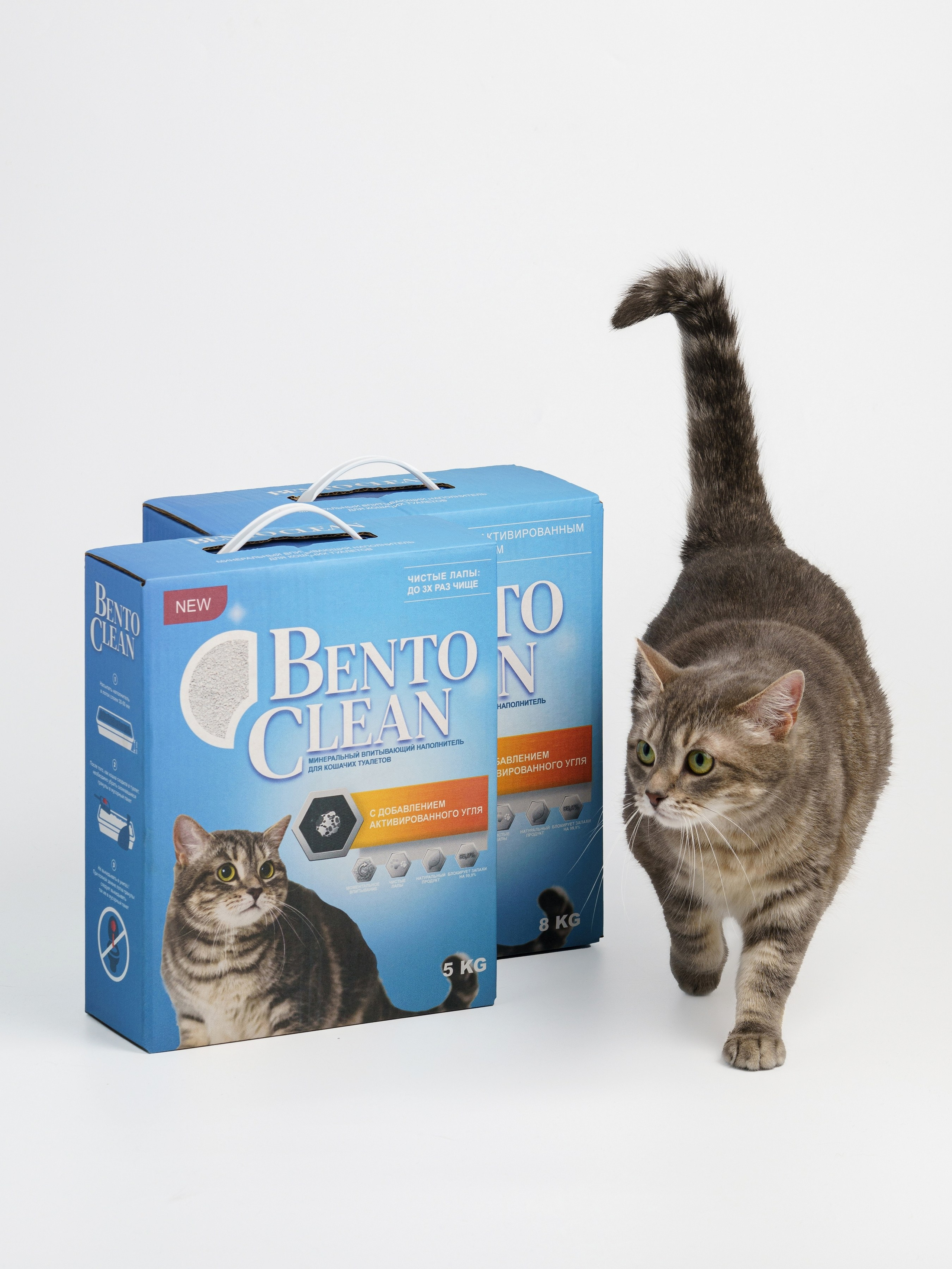 Съемки с животными. КЕД Студия-контент агентство полного цикла СПБ. Создаём фото, видео и контент, который помогает брендам и селлерам продавать больше