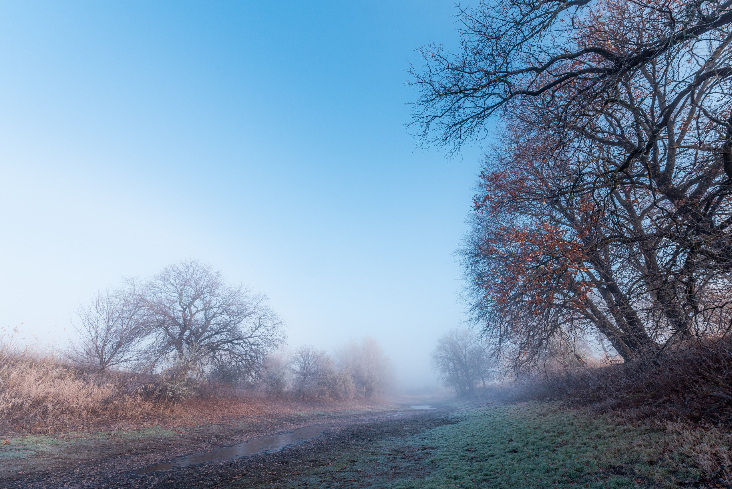 Фотографии утреннего тумана под Волжским. Фотограф в Волгограде и Волжском Александр Горбань