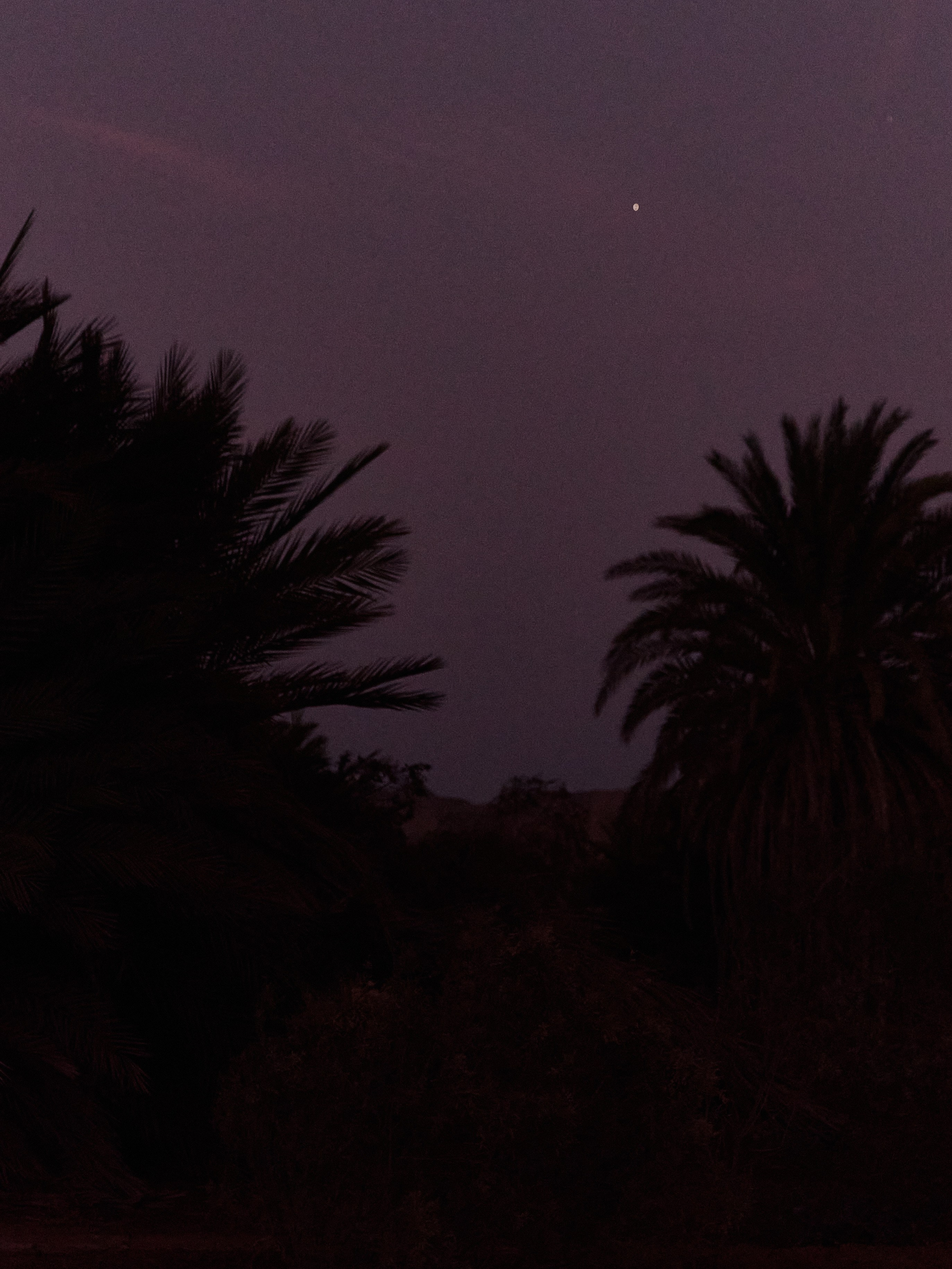 Другое 3. Jorgis — фотограф в Хургаде / обучение фотографии