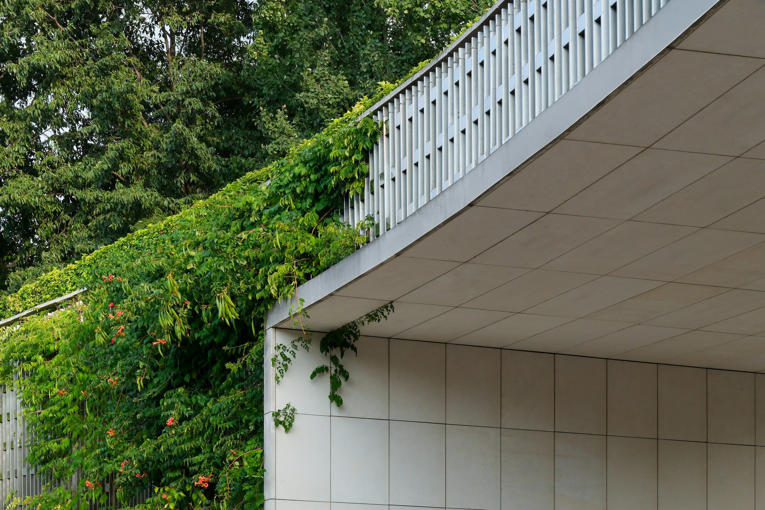 Парк «Краснодар» | gmp Architekten | 2025. Михаил Мулач | Архитектурный фотограф