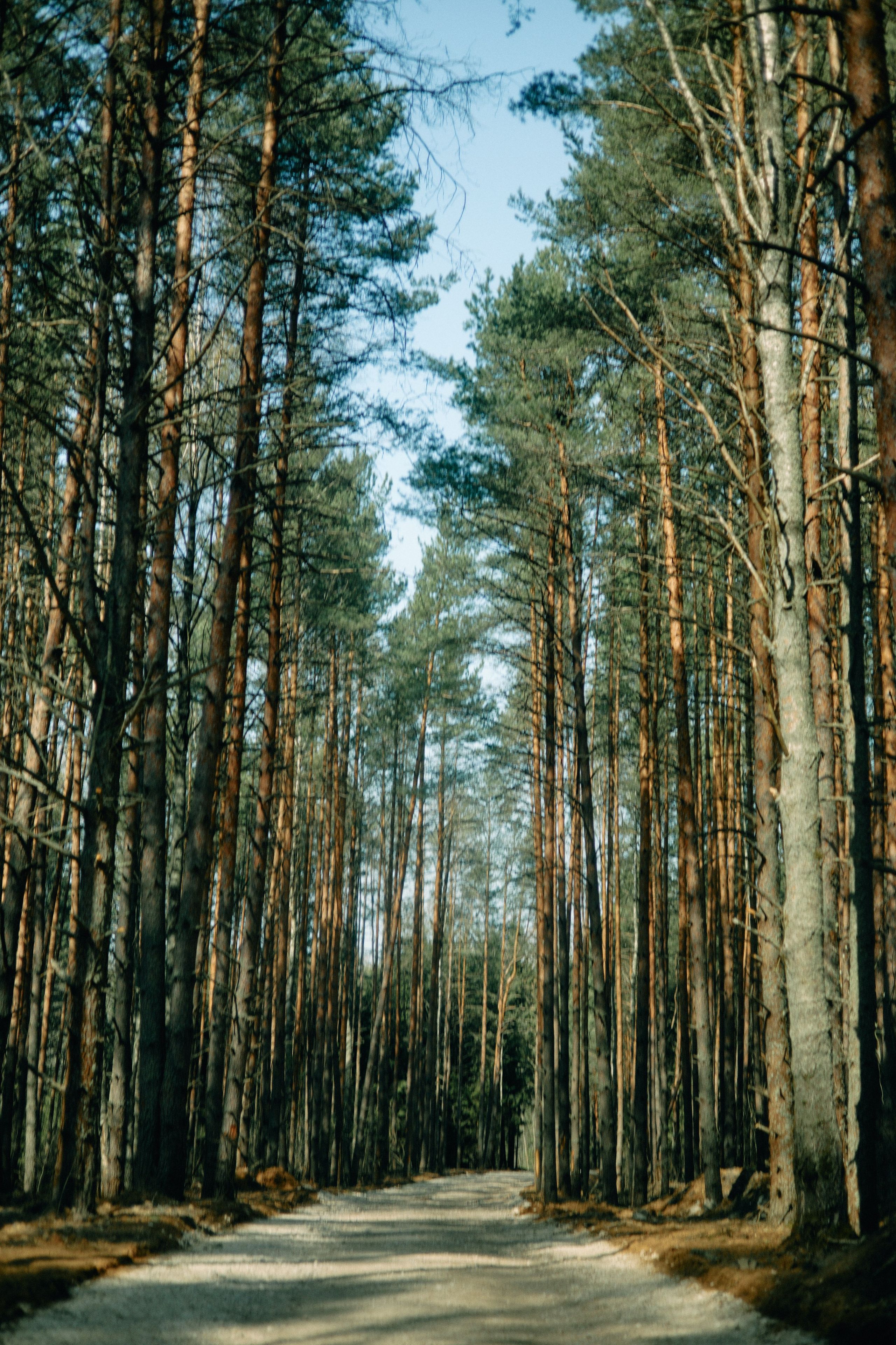 Бутик-отель Поле летом. Профессиональный Фотограф во Владимире, в Москве и в Суздале — Полина Романычева