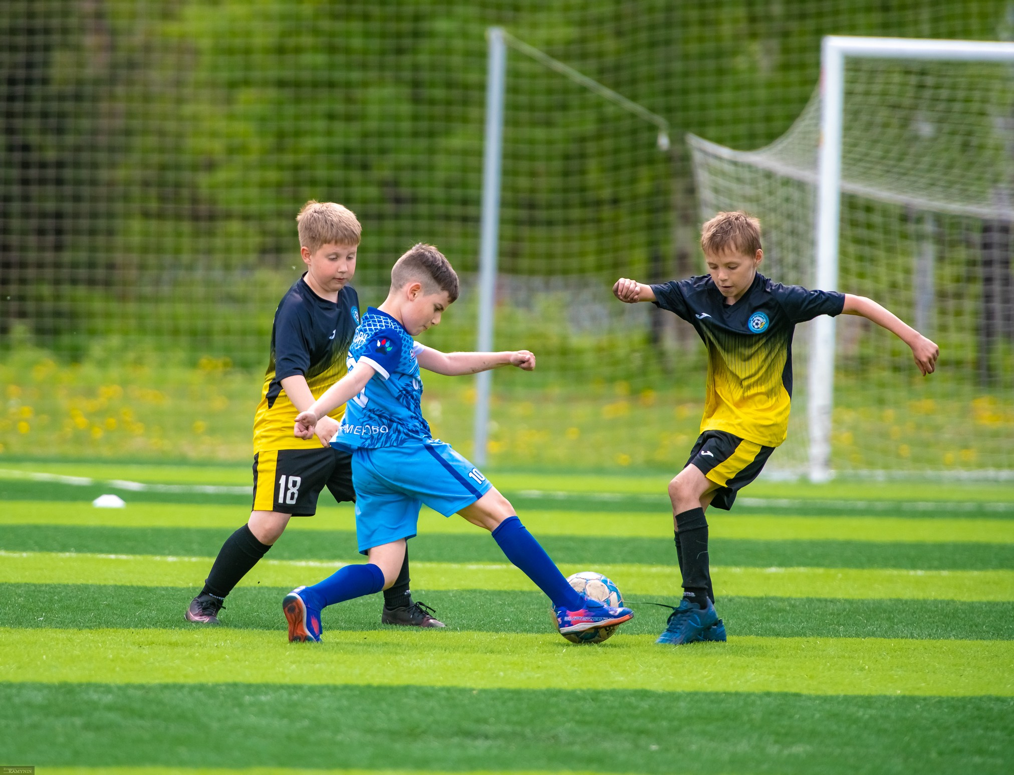 Металлург-Олимп. ProfotoNK