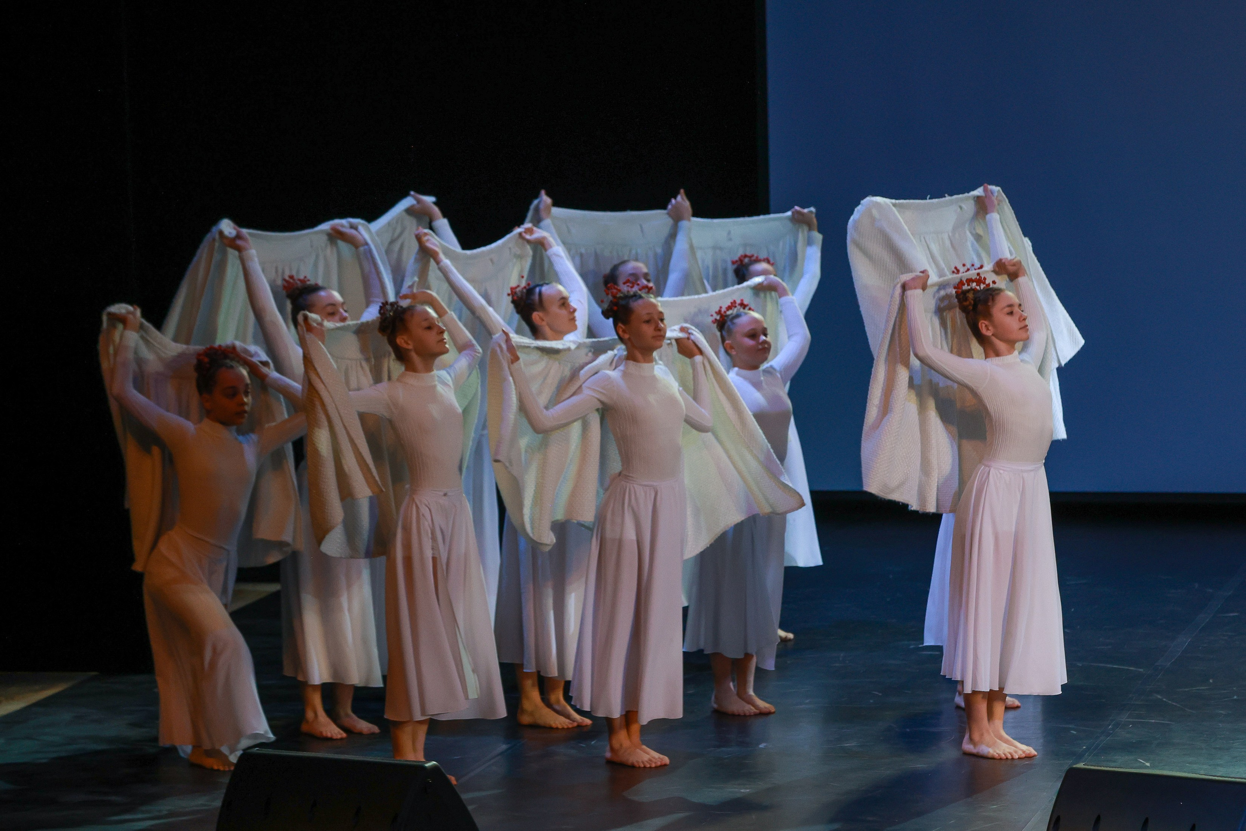 Небесные ласточки на Танц ЭКСПО 2026. Фотограф Юлия Мальцева