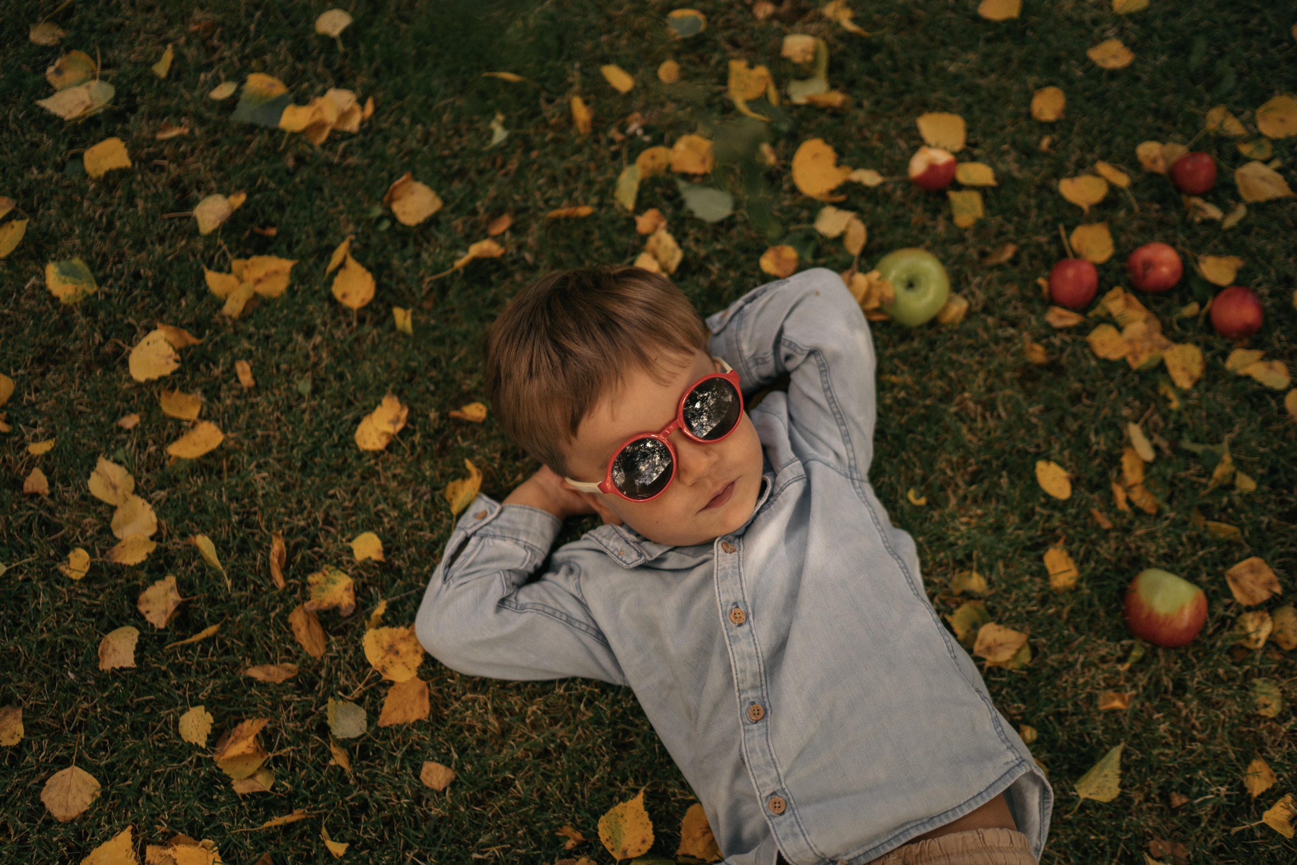 Яблочный Спас. Семейный и детский фотограф Москва Дарья Бугра