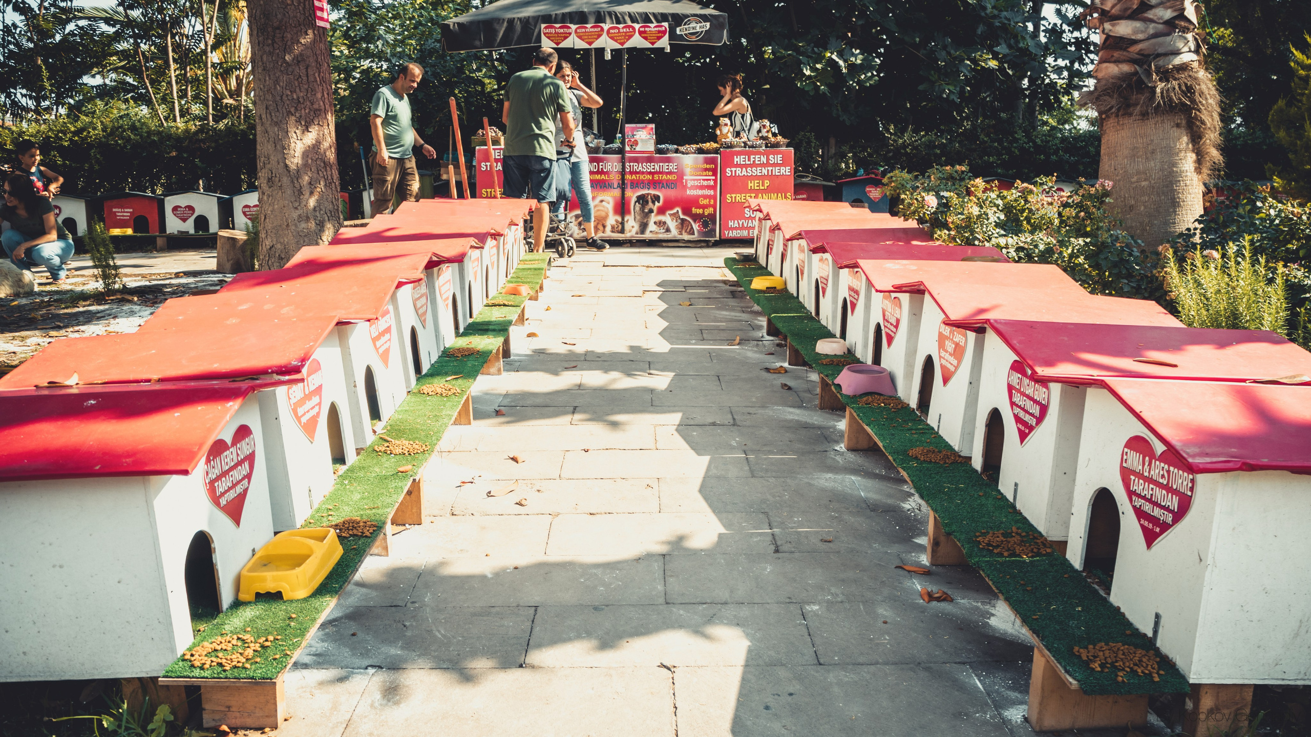 Турция. Свадебный фотограф Копков Геннадий