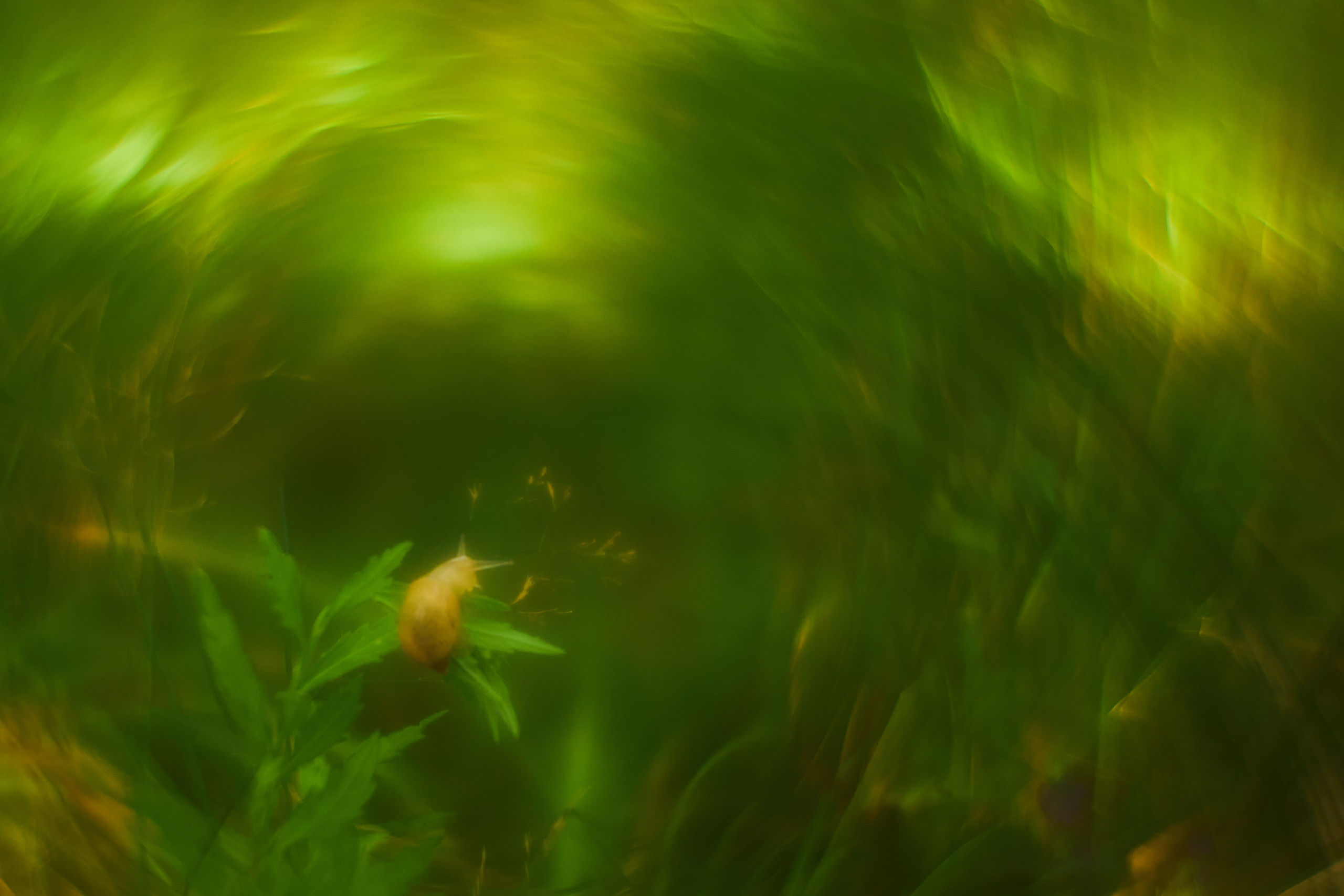 «Незримые Миры». Арт-фотограф во Владивостоке Дмитрий Осипчук