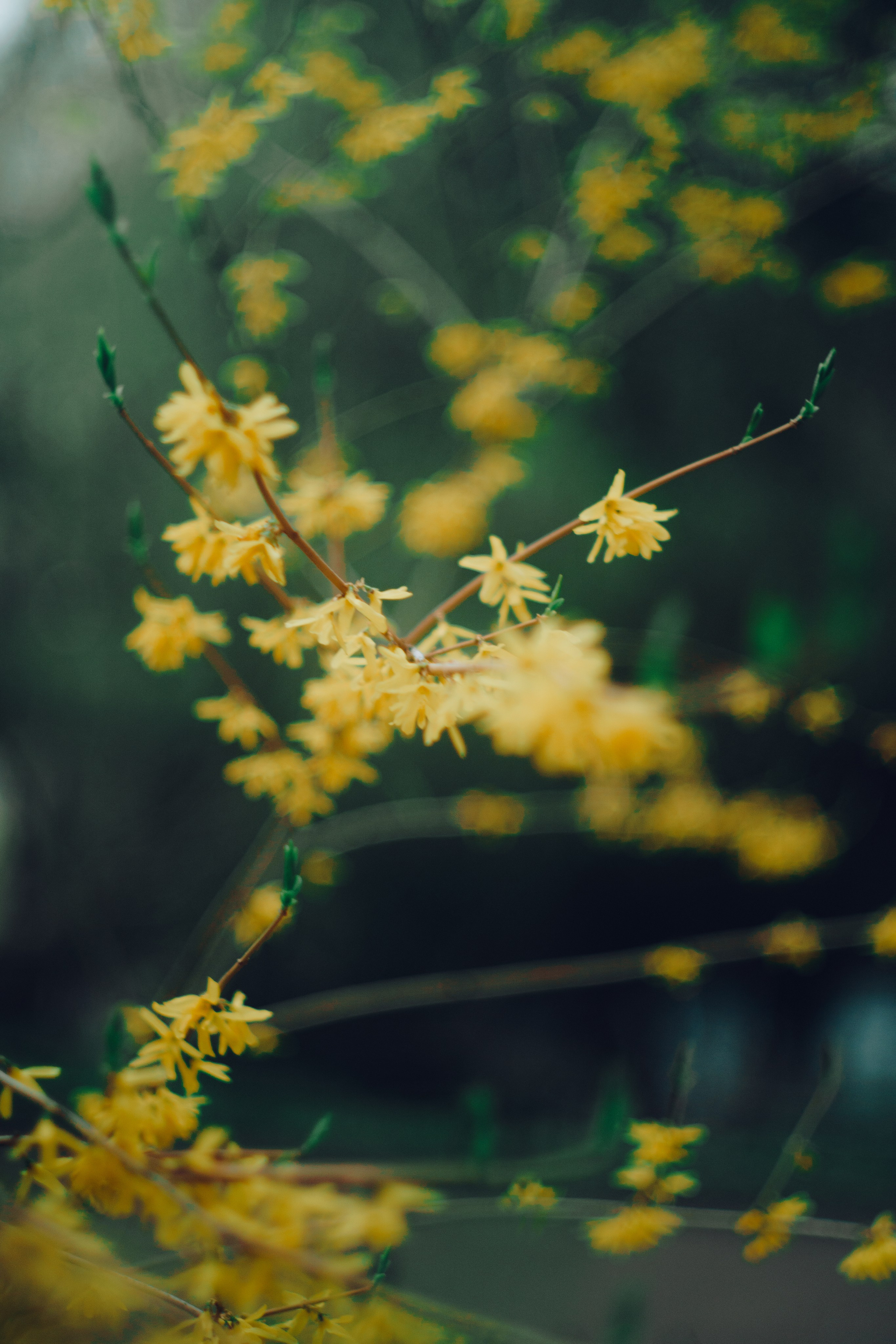 Botanical. Портретный и свадебный фотограф в Москве и Санкт-Петербурге. Учитель фотографии онлайн и оффлайн