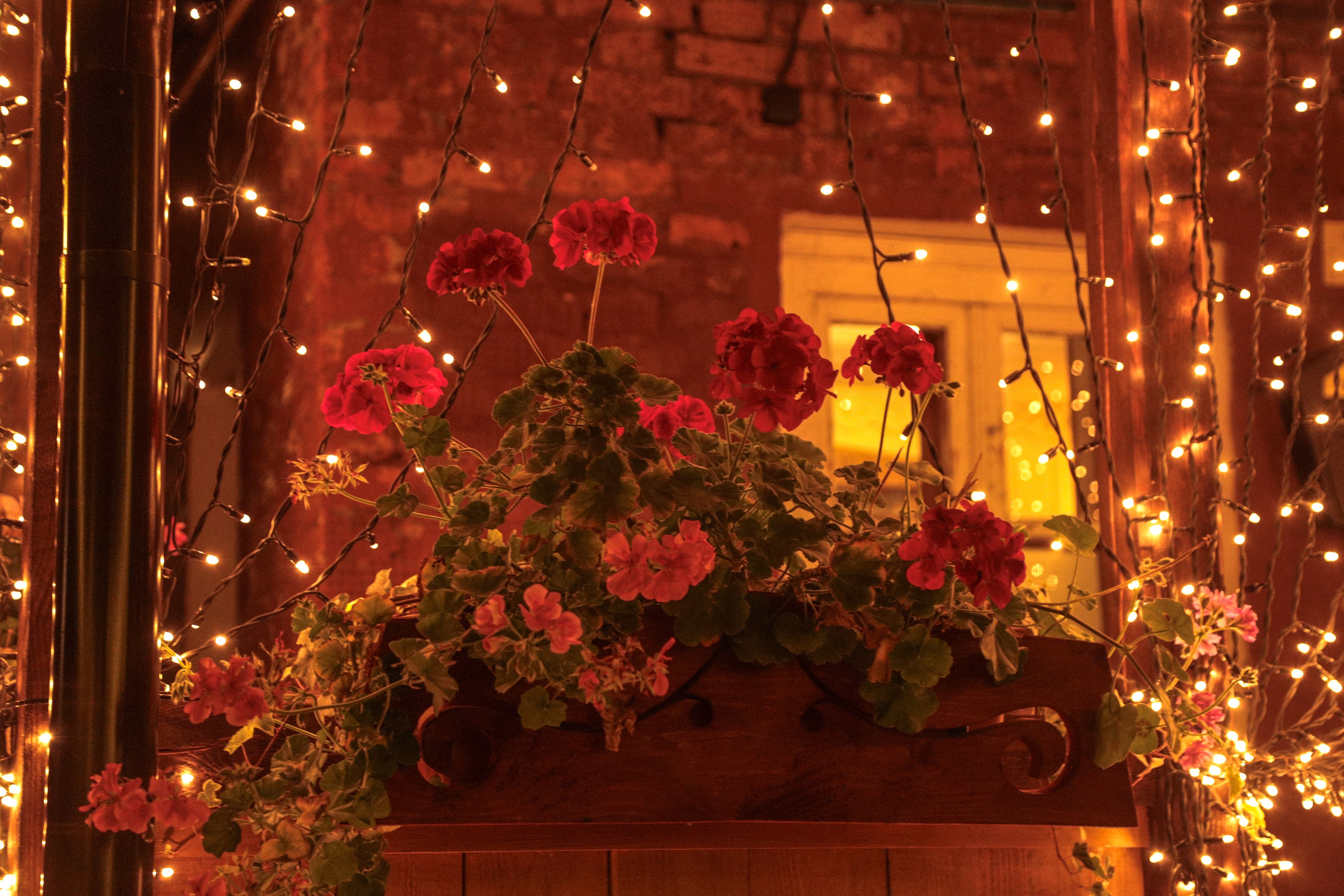 Ночная Коломна. Репортажный фотограф в Москве Агафонова Мария