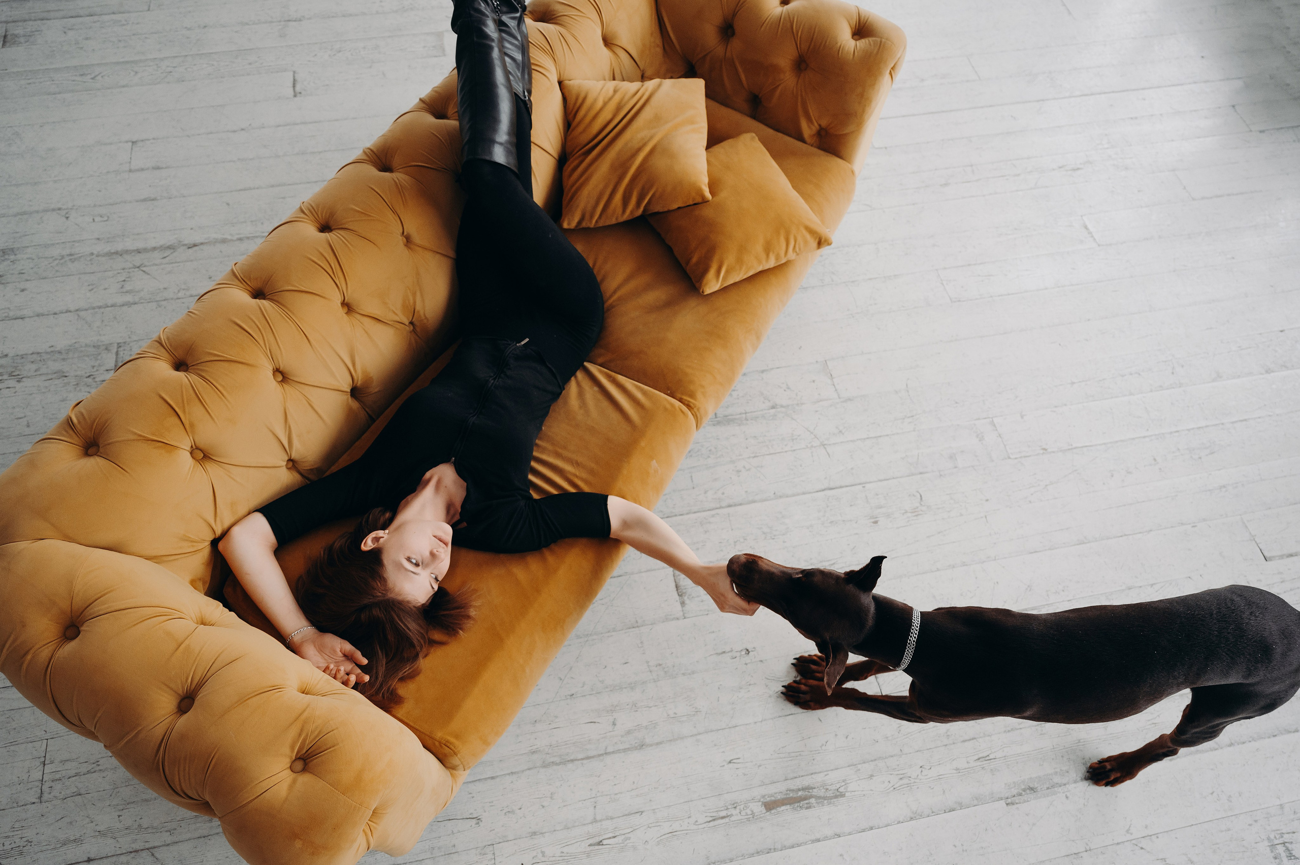 Анималистика. Главная