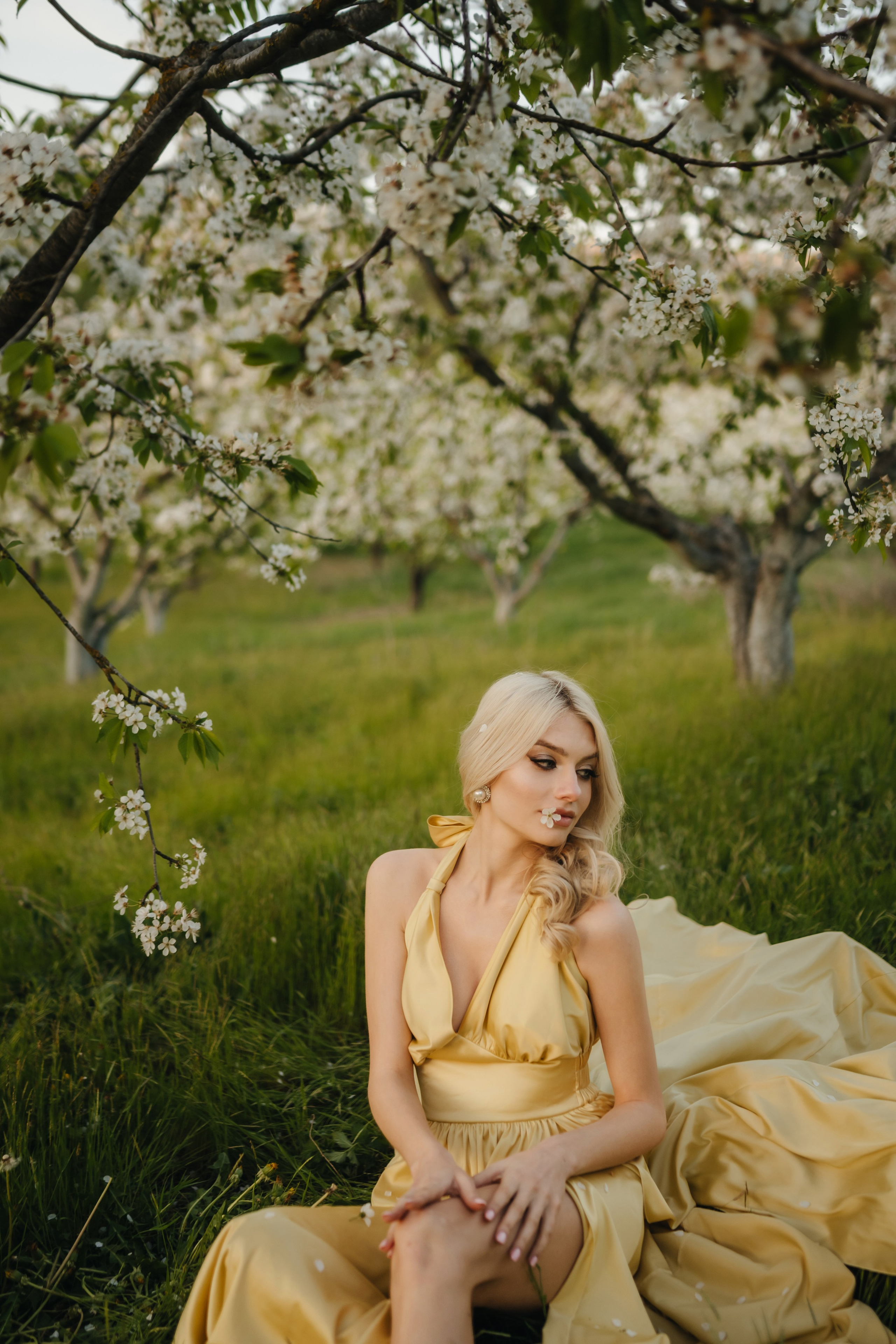 Разные виды съемок. Свадебный и семейный фотограф и видеограф, Крым, Москва, Санкт -Петербург