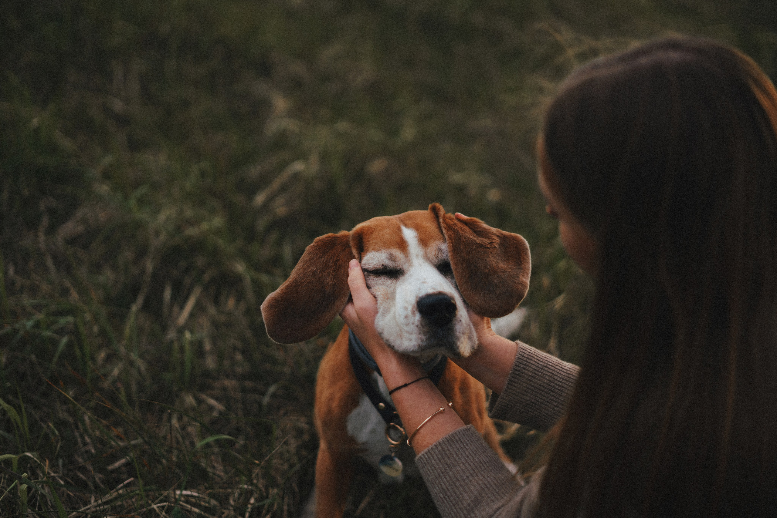 Юля и Зайфер. Фотограф анималист Осипчикова Мария
