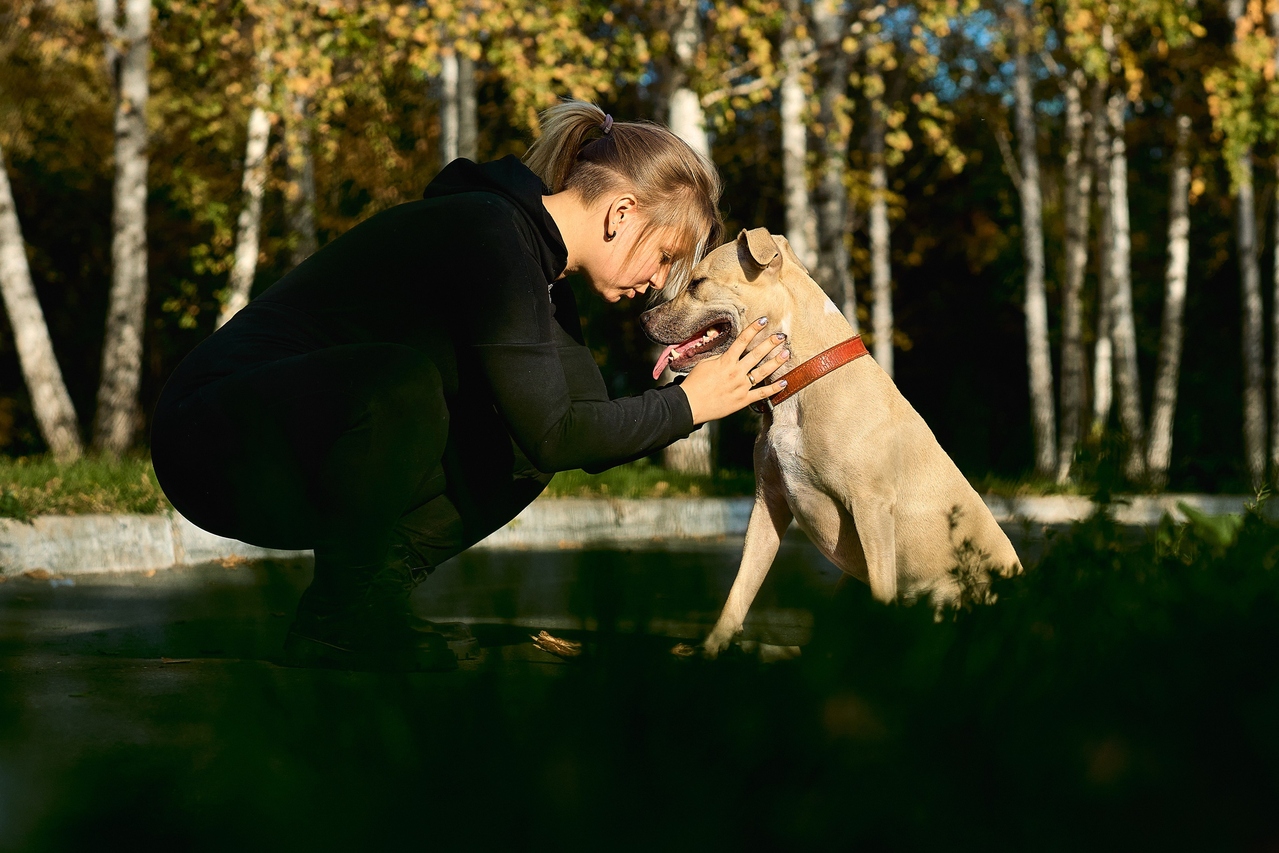 Умнейшая собака Зелла. Любовь Гальцова — свадебный, семейный, детский фотограф в городе Кемерово и Кемеровской области