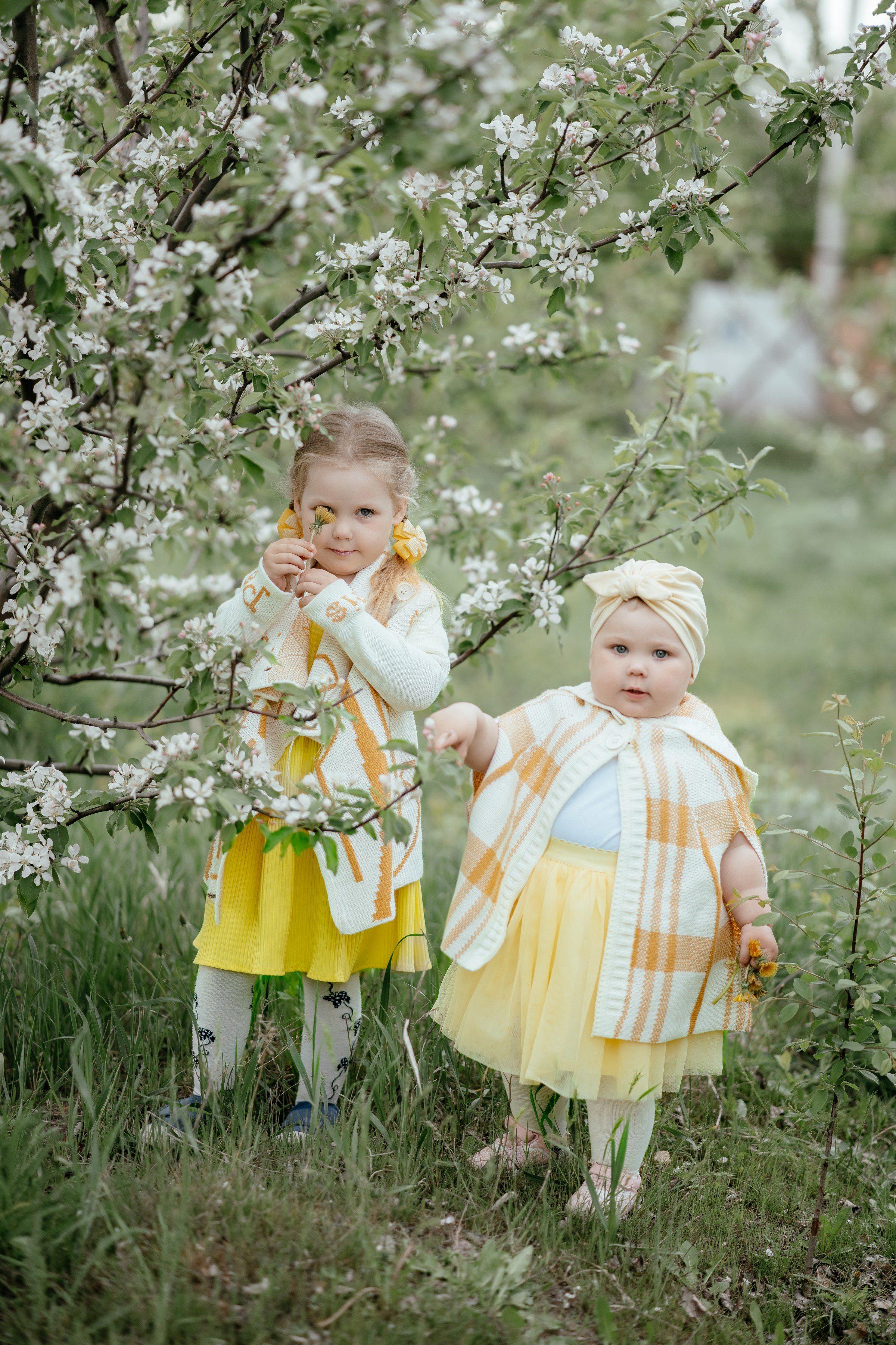 Весенняя, цветущий яблоневый сад. Ольга Плаксина фотограф в Саратове