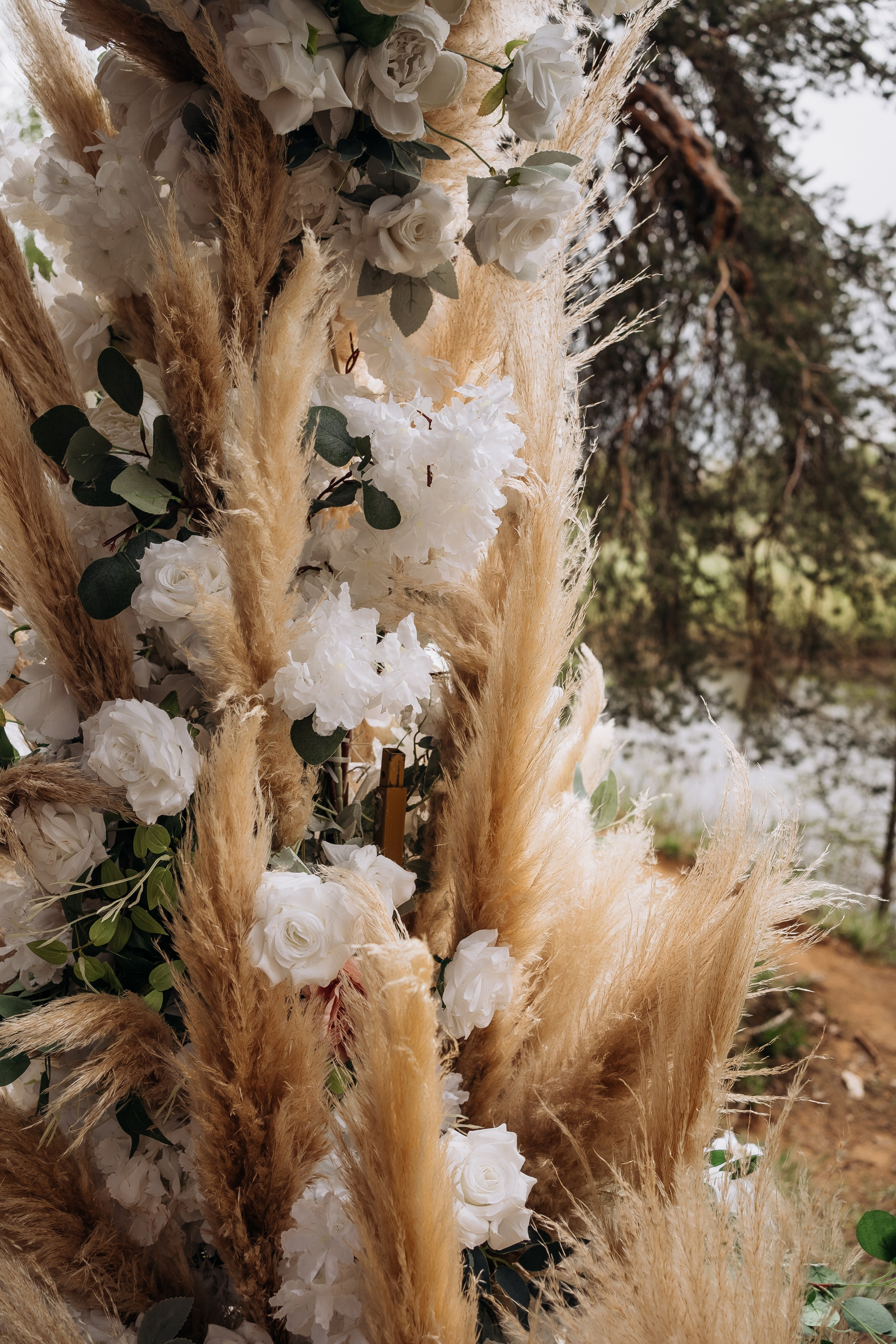Ярославна и Артём. Фотограф Тверь. Анна Драго