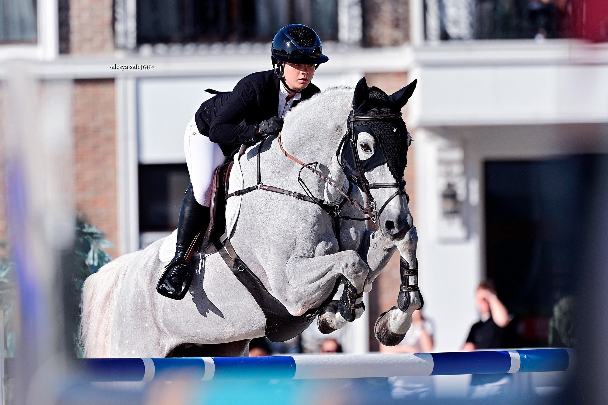 Голден. Конный фотограф Alesya Safe