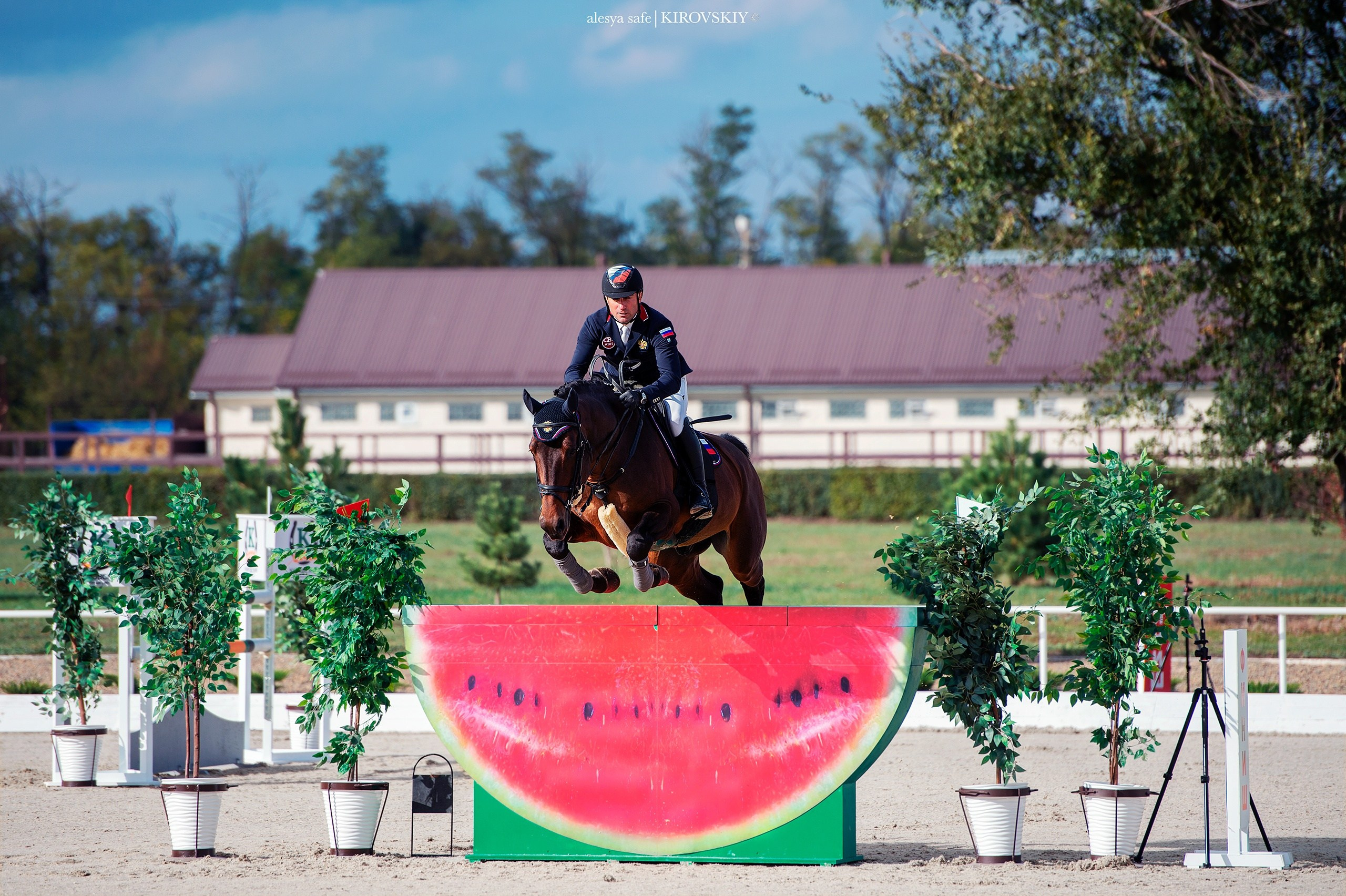 Кировский конный завод. Конный фотограф Alesya Safe