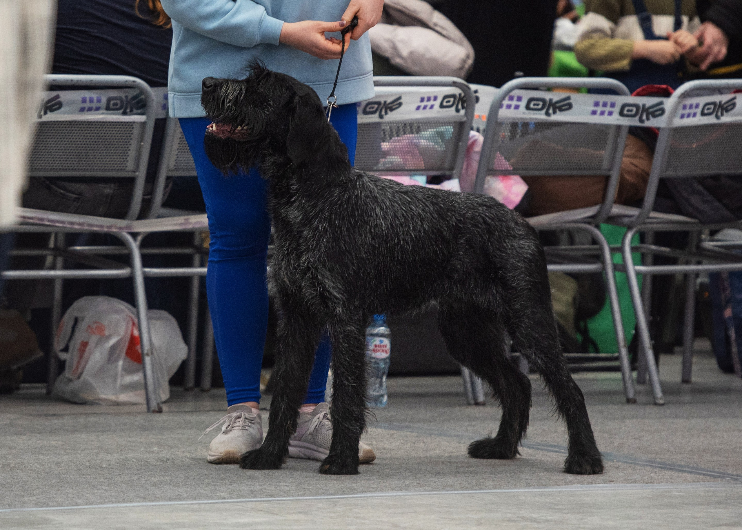 Выставки. Главная