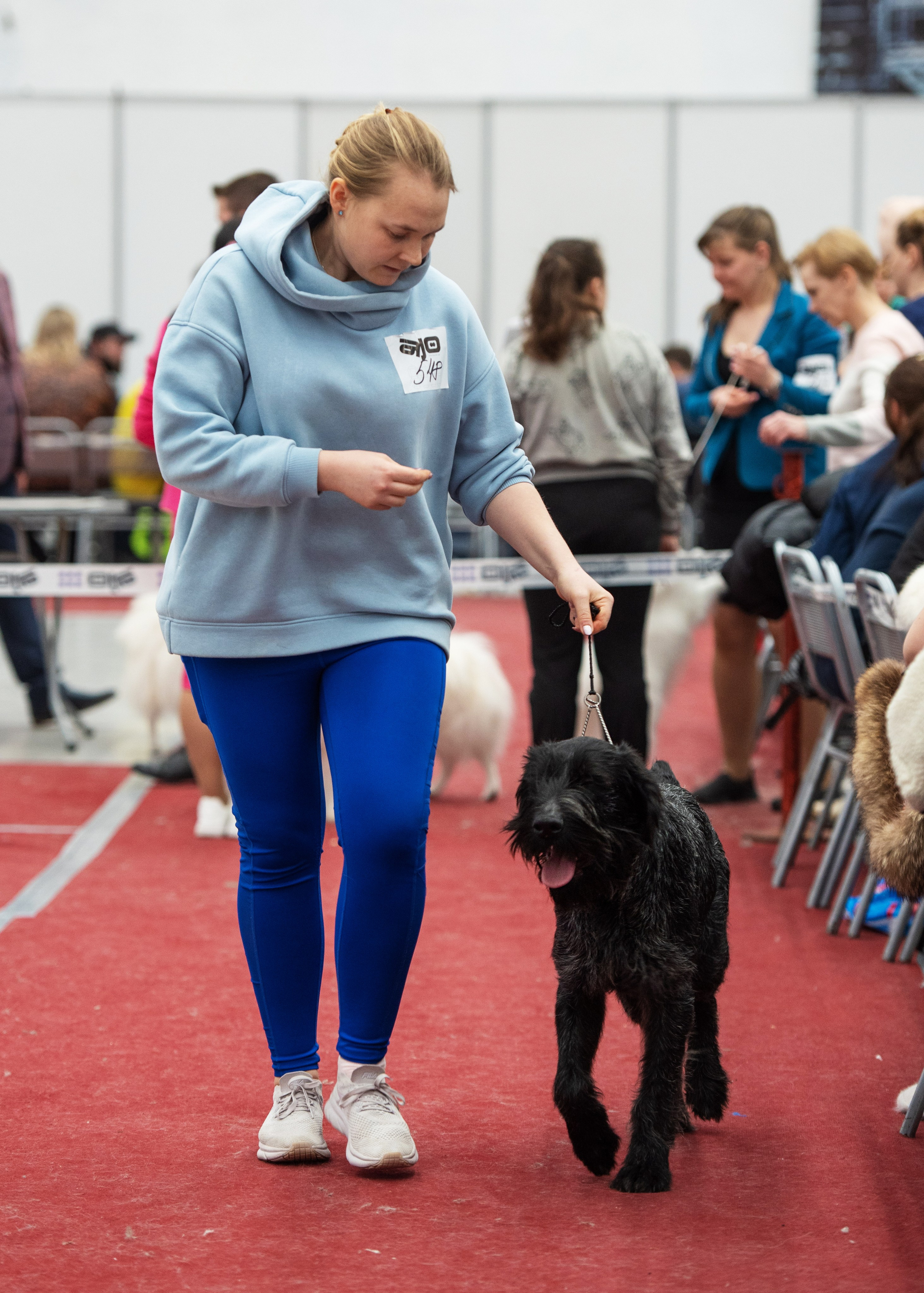 Выставки. Главная