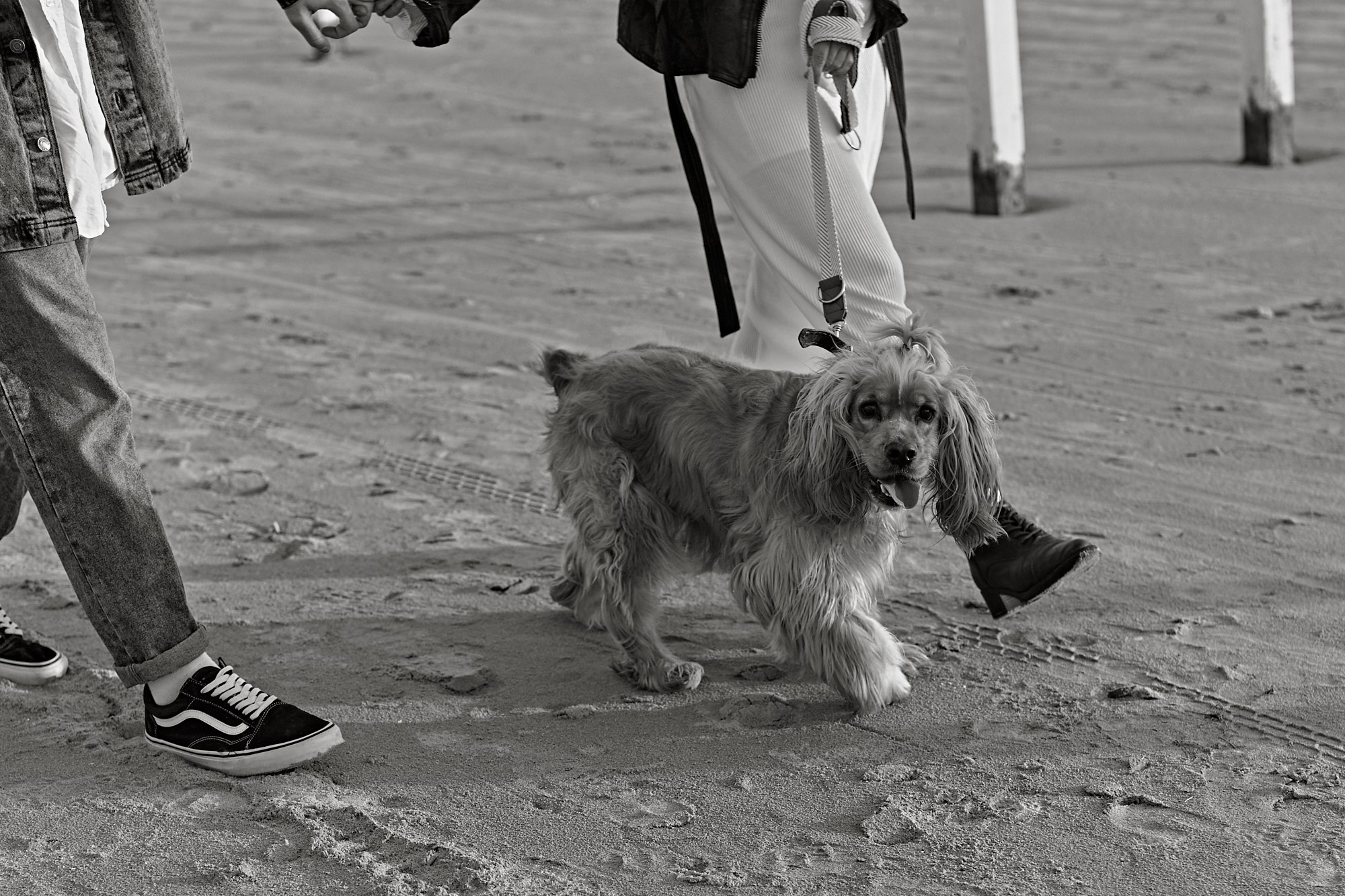 Гриша и Катя. Lovestory. Семейный фотограф Новороссийск, Анапа, Геленджик Мария Колесниченко