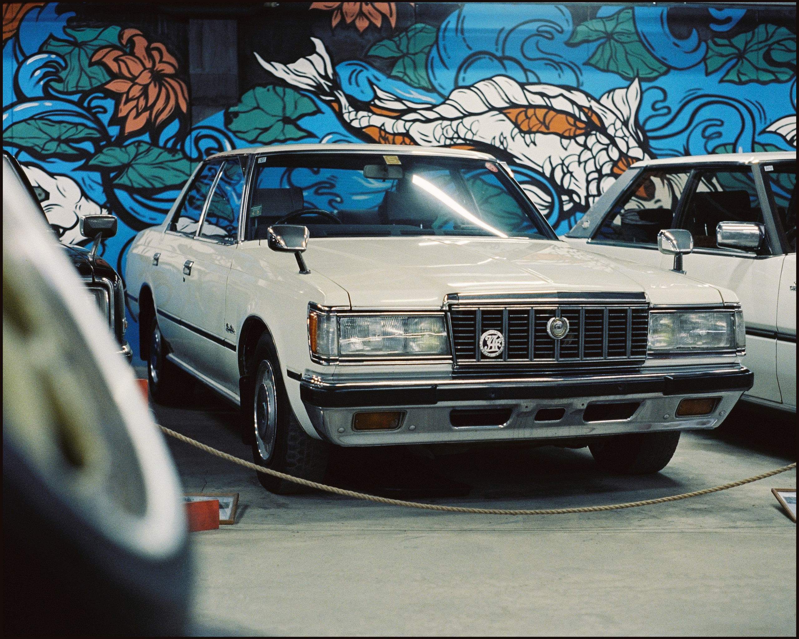 CARS. ANNA — PHOTOGRAPHER