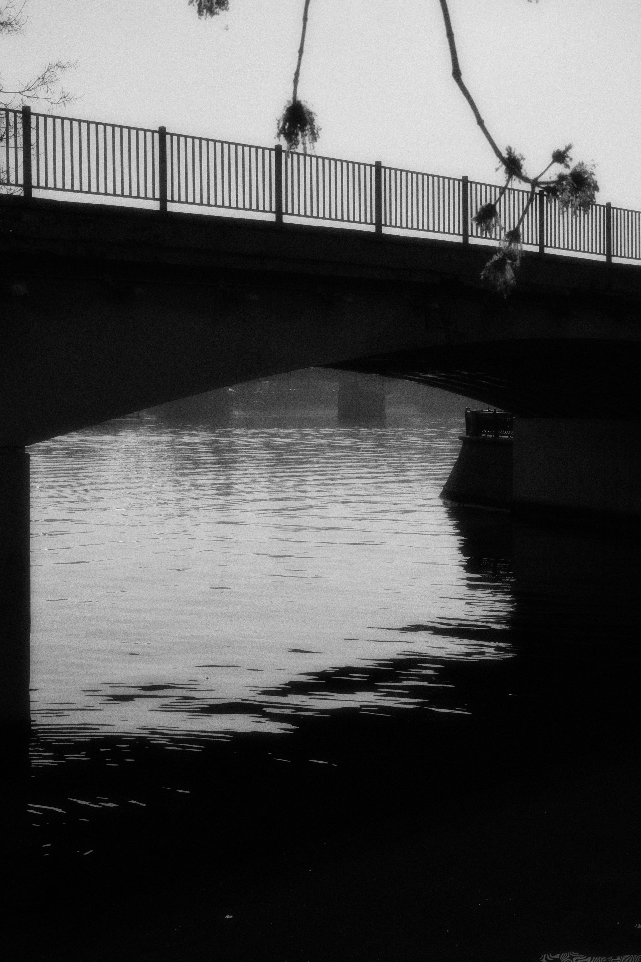 MOSCOW. ANNA — PHOTOGRAPHER