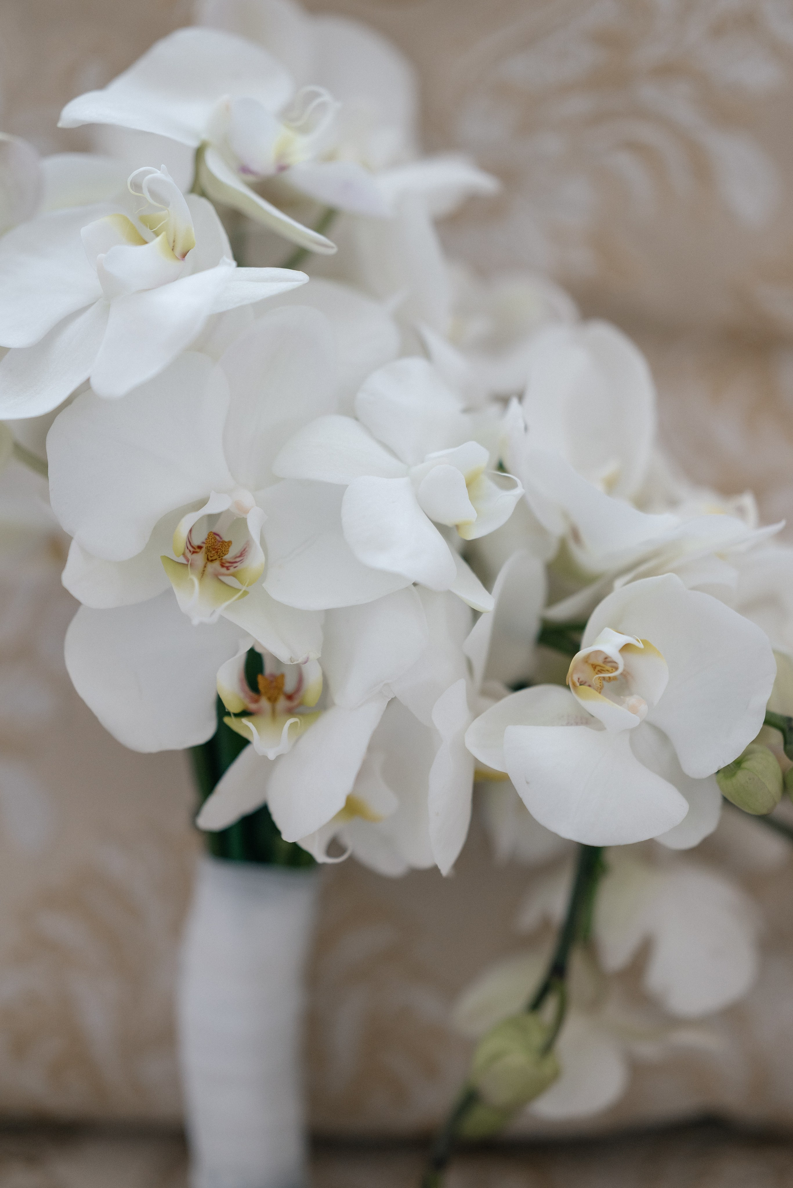 Wedding day in VERSAL PARK. Wedding PHOTOGRAPHER Andrew Vnukov
