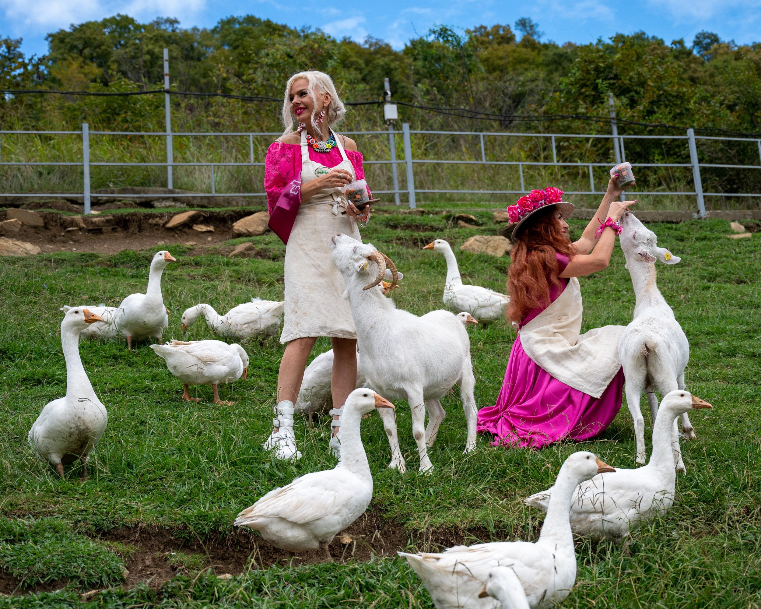 Ферма «ЭКЗАРХО» 03.10.2024 г. Фотографирую счастливых людей в Сочи