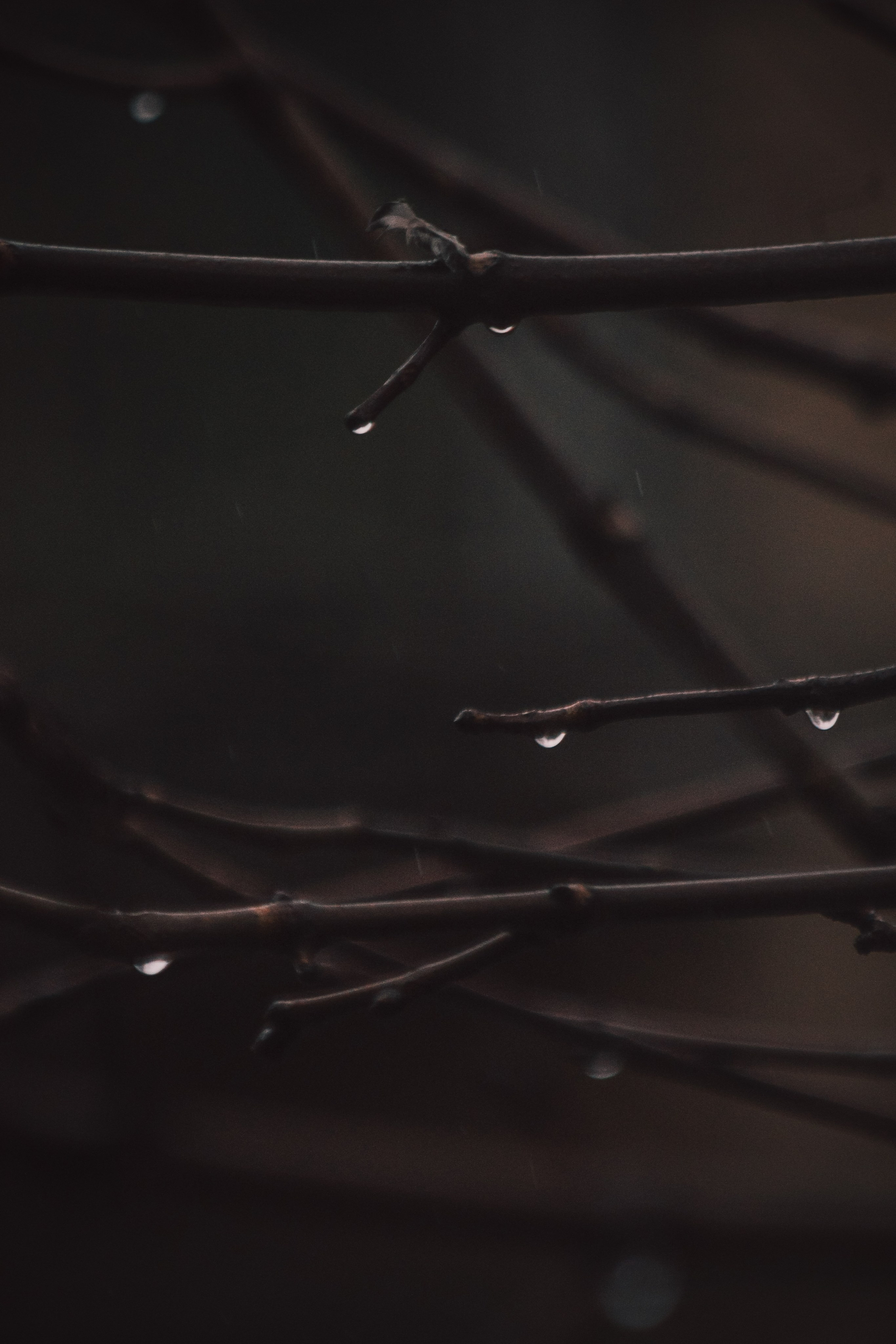 В О Д А. — Digital Noise —