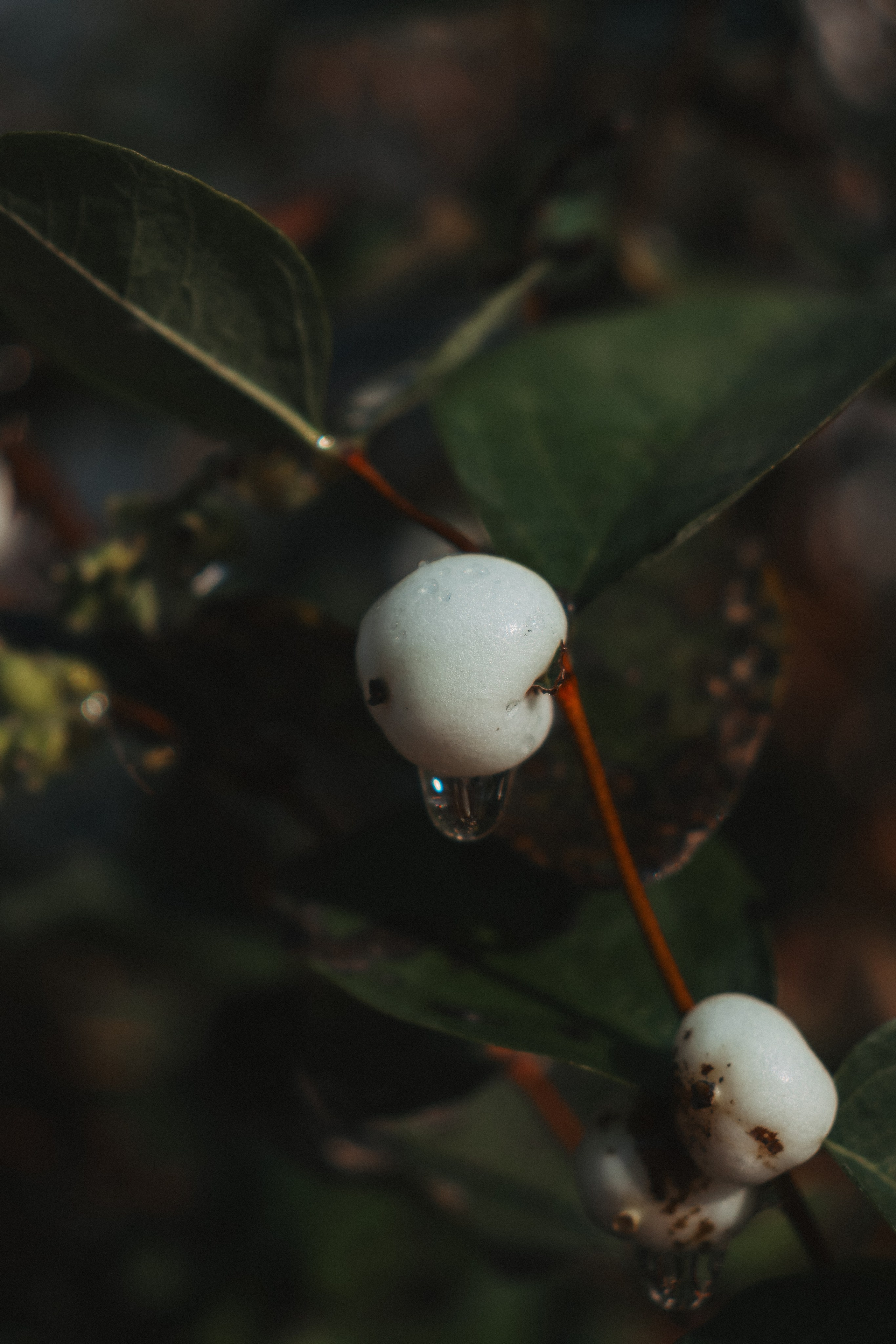 В О Д А. — Digital Noise —