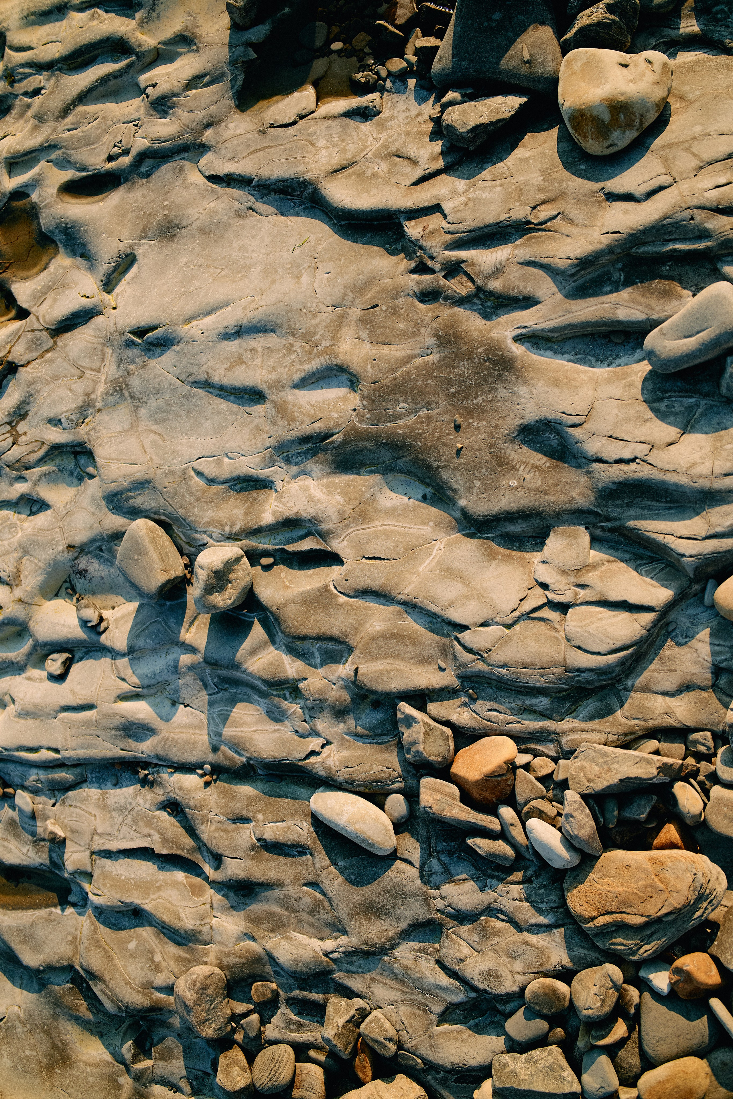 Юг России. Профессиональный Фотограф во Владимире, в Москве и в Суздале — Полина Романычева