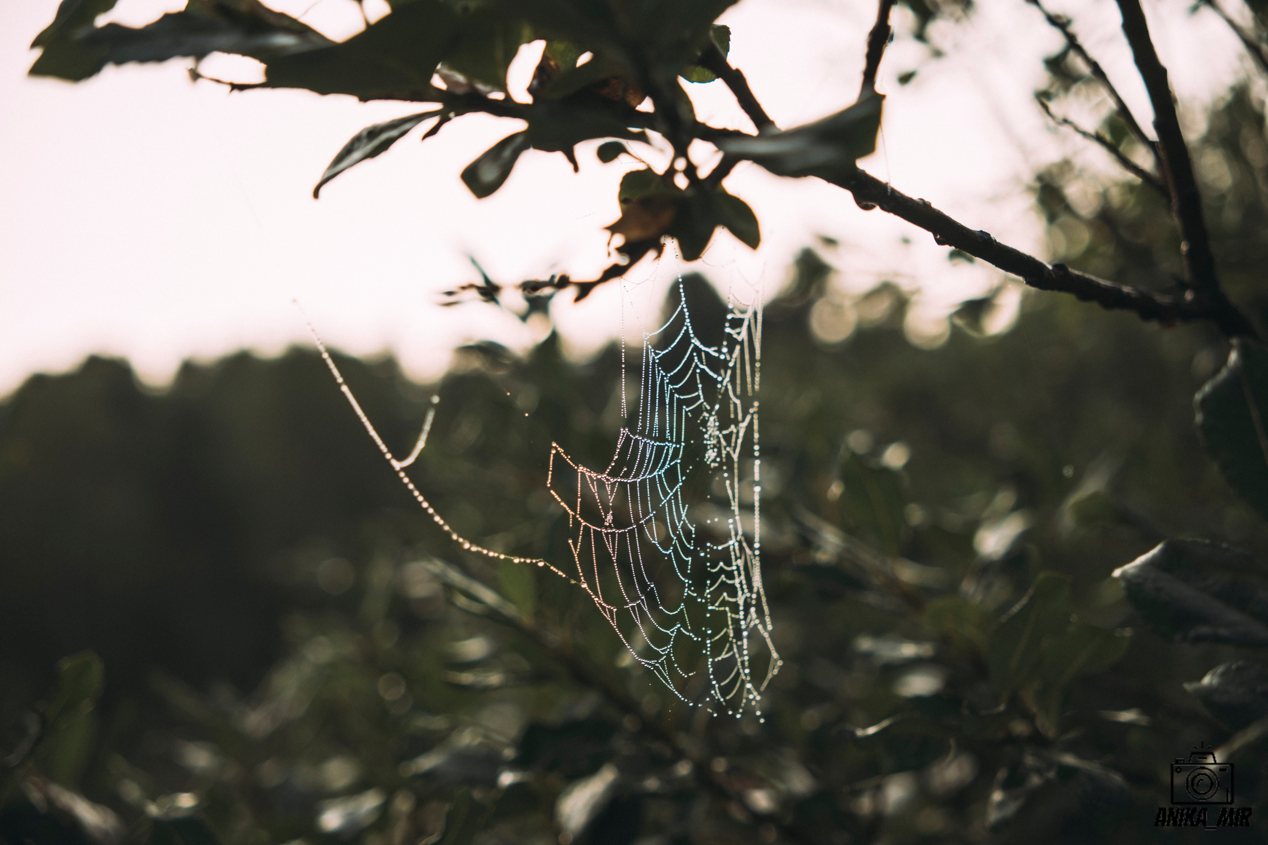 На берегу. Фотограф в Иркутске Анна Мирошникова