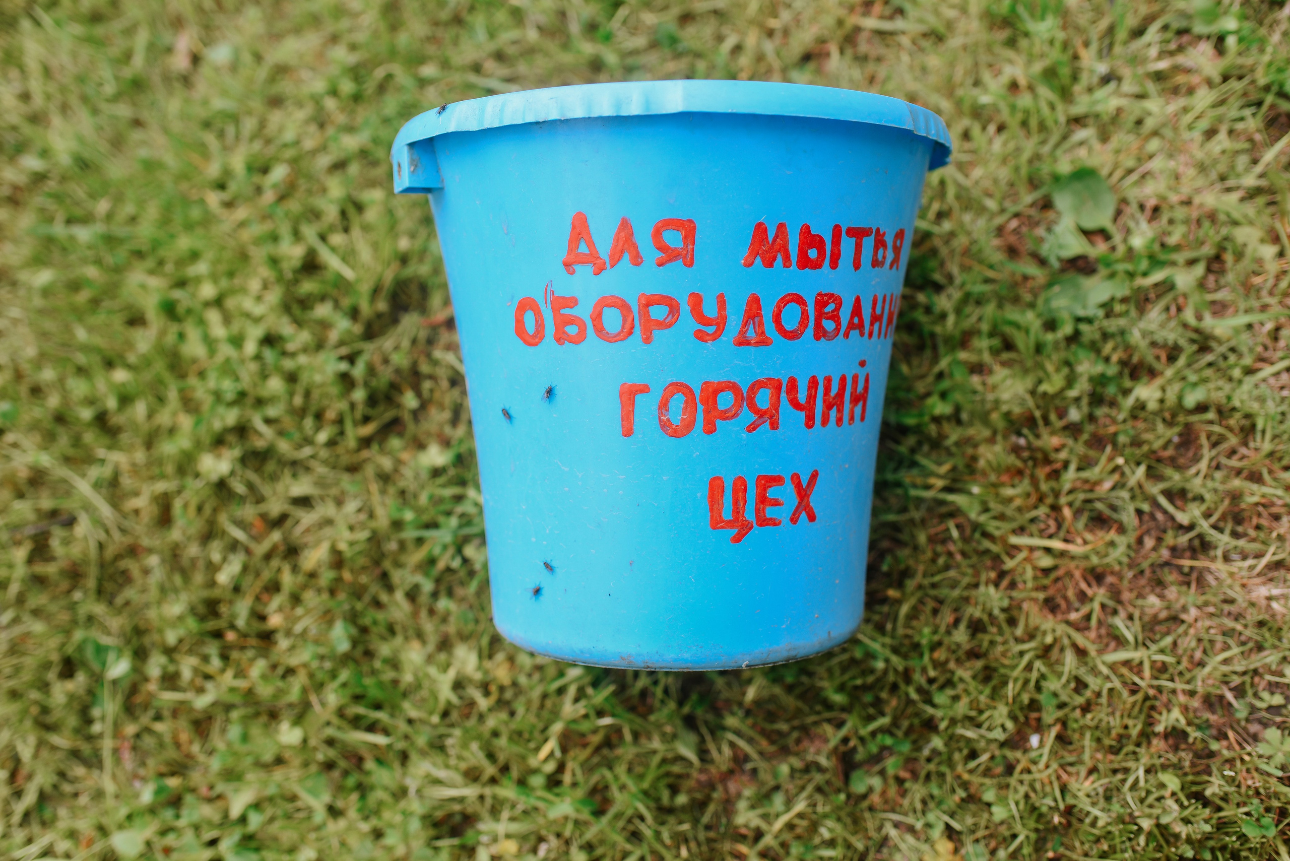 Многодетство. Детский и семейный фотограф в Новосибирске Саша Дорошенко