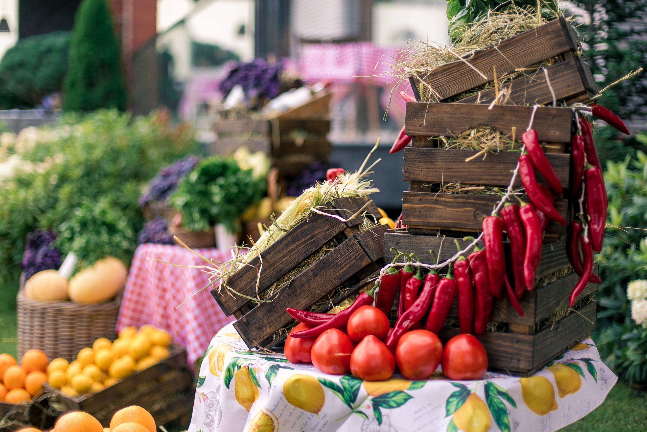 Новоселье. Репортажный фотограф Борис Геер