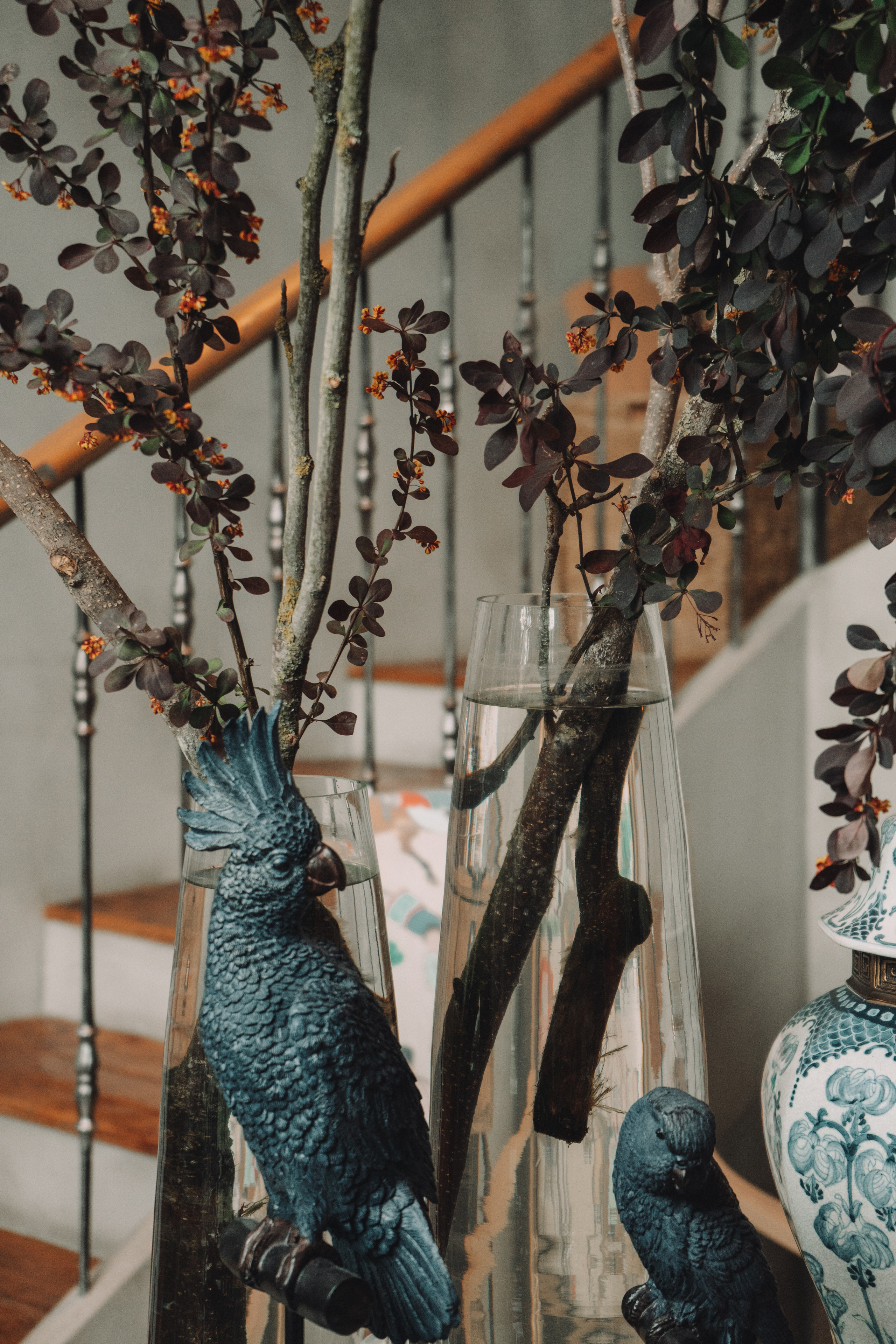 Сати Казанава Шри Янтра Пуджа. Фотограф Гвоздева Варвара / Москва