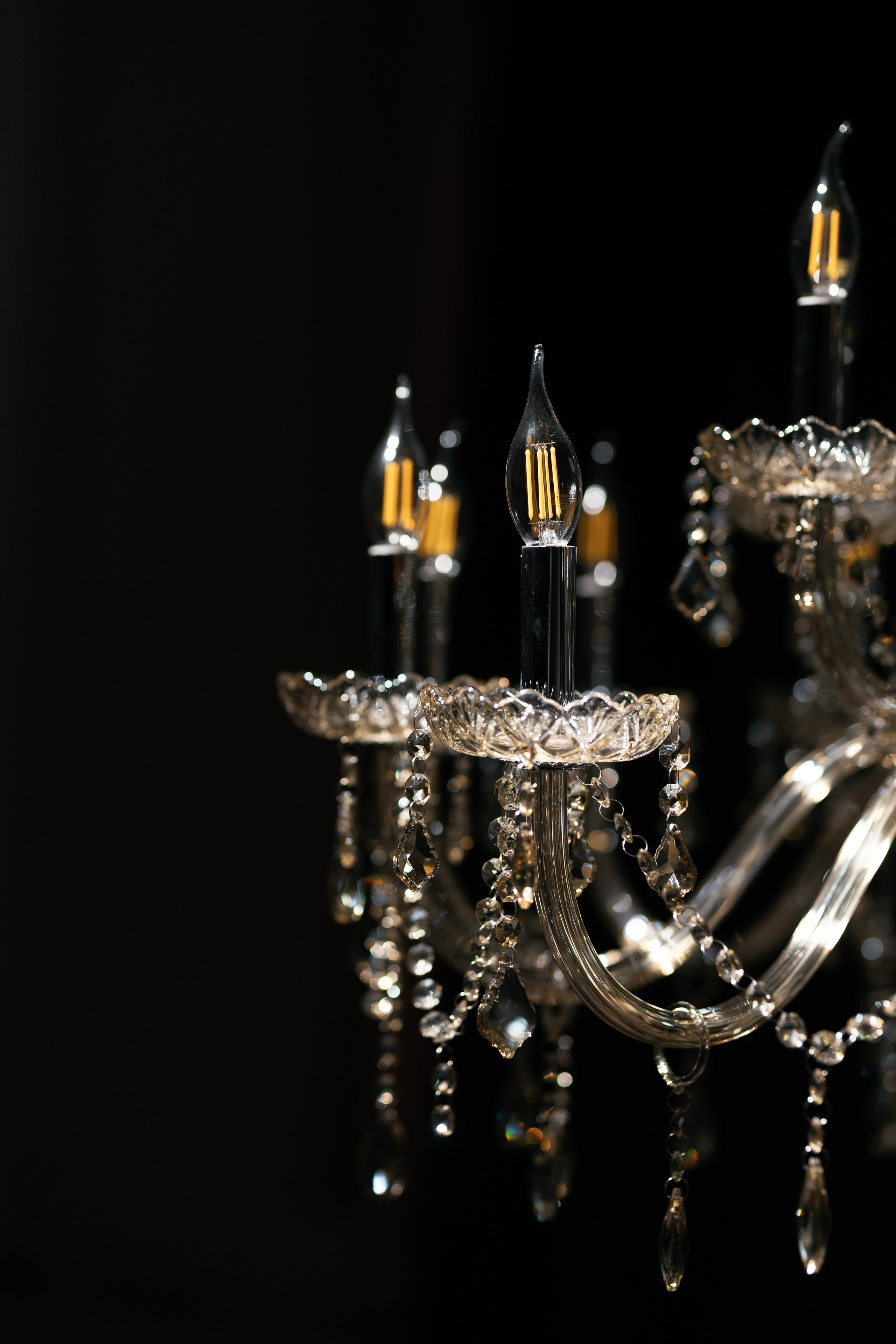 МУЗЫКА. Cheta Kovalevsky фотографы