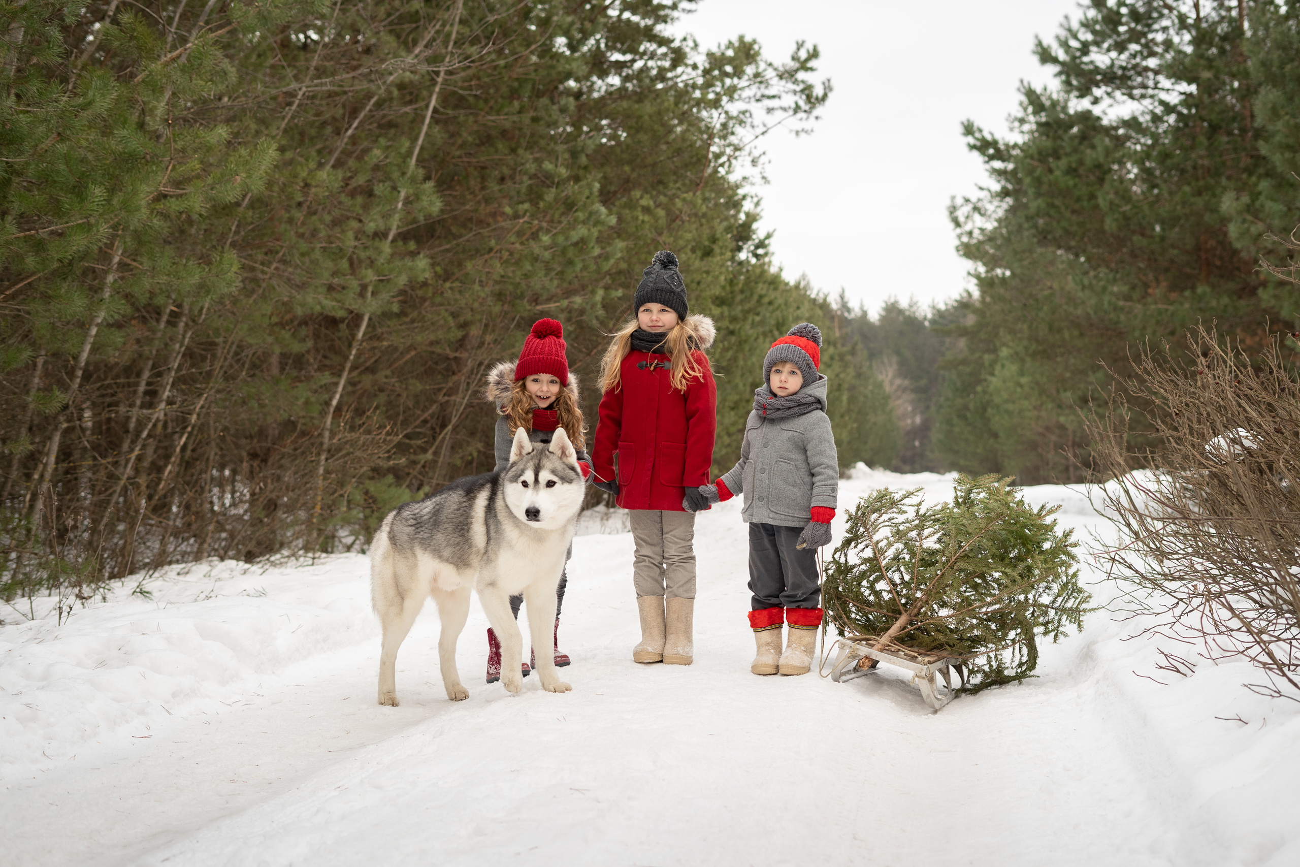 Фотосессии детские и семейные. Портретный и свадебный фотограф в Минске и в Беларуси Ольга Роговская