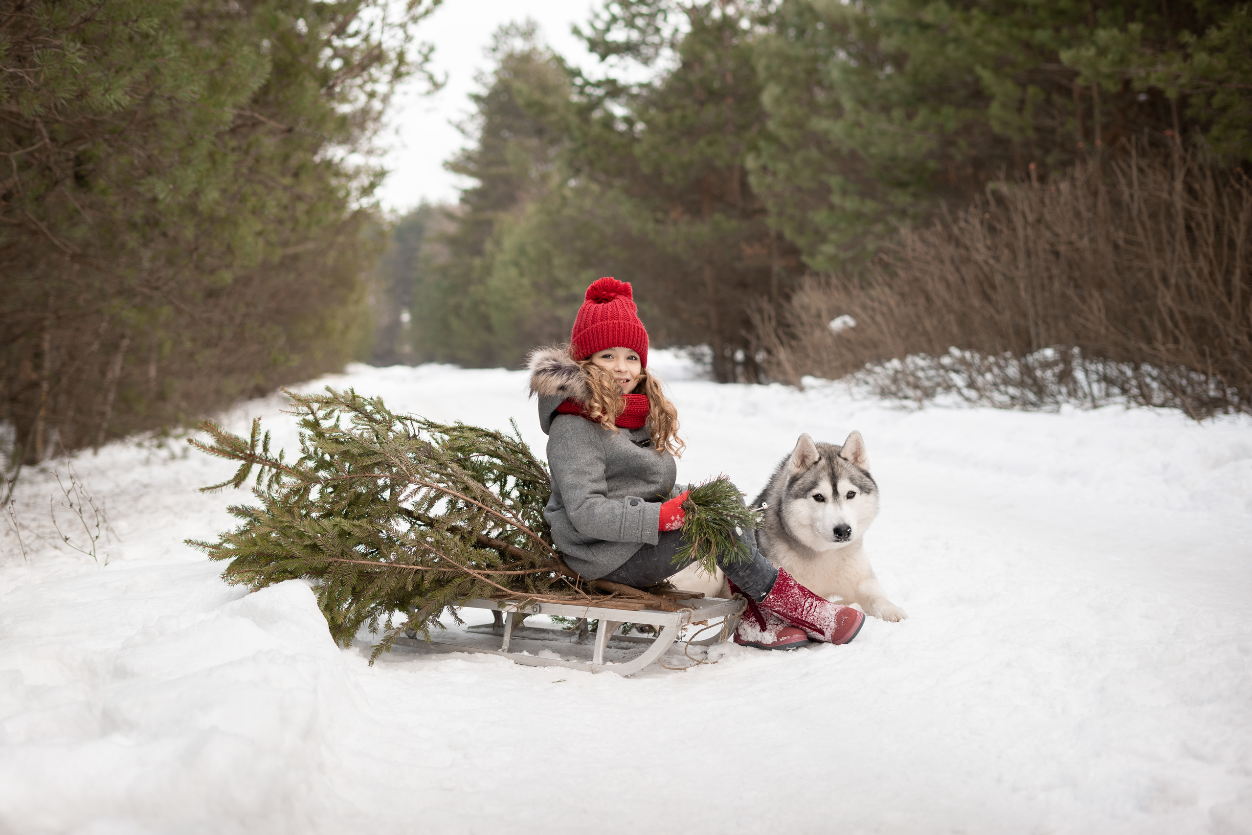 Фотосессии детские и семейные. Портретный и свадебный фотограф в Минске и в Беларуси Ольга Роговская