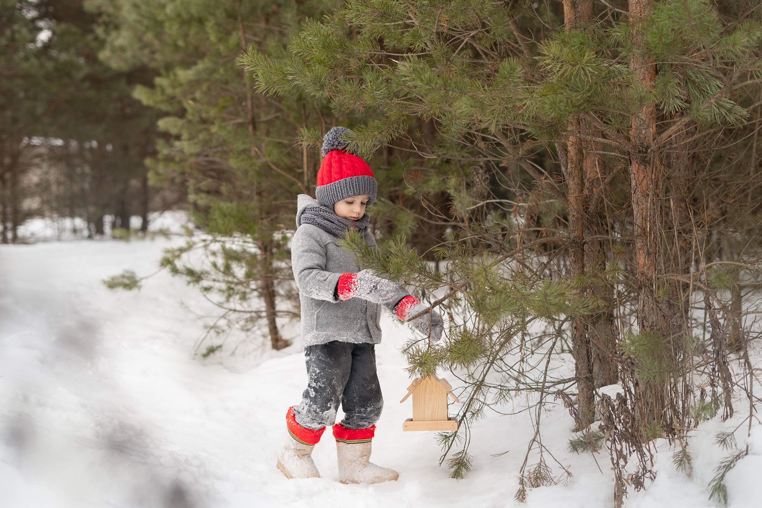 Фотосессии детские и семейные. Портретный и свадебный фотограф в Минске и в Беларуси Ольга Роговская