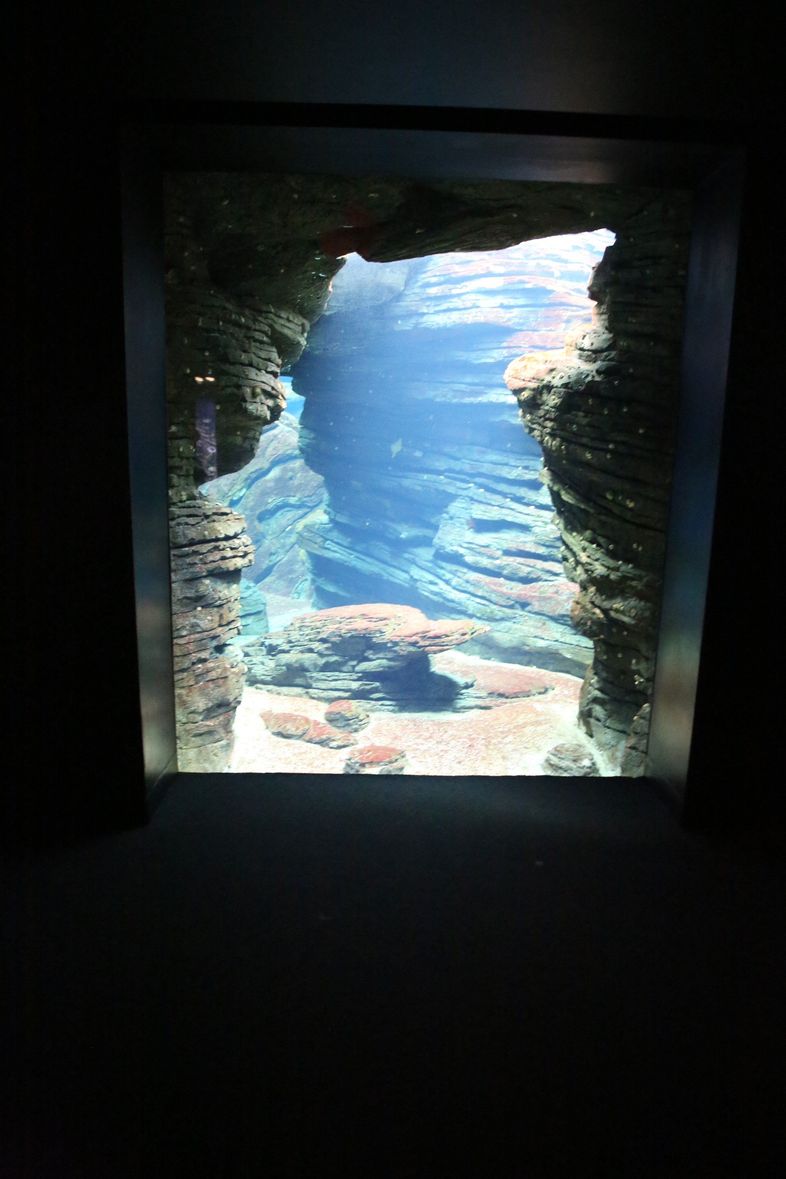 Lisbon, Portugal. Andrey Filippov Photographer