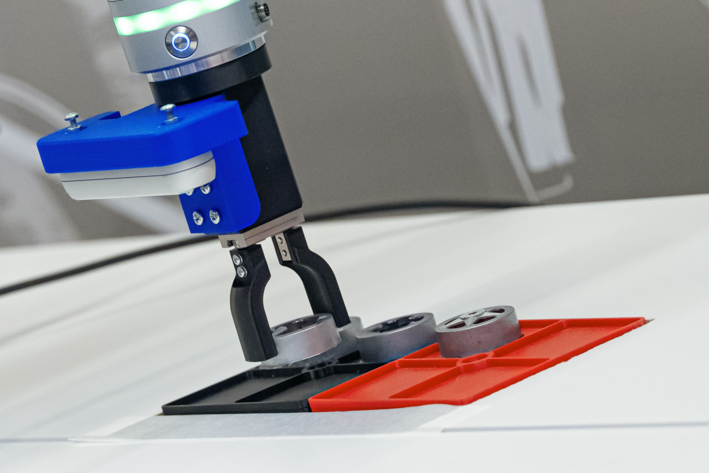 Репортажная фотосъёмка. Репортажный фотограф