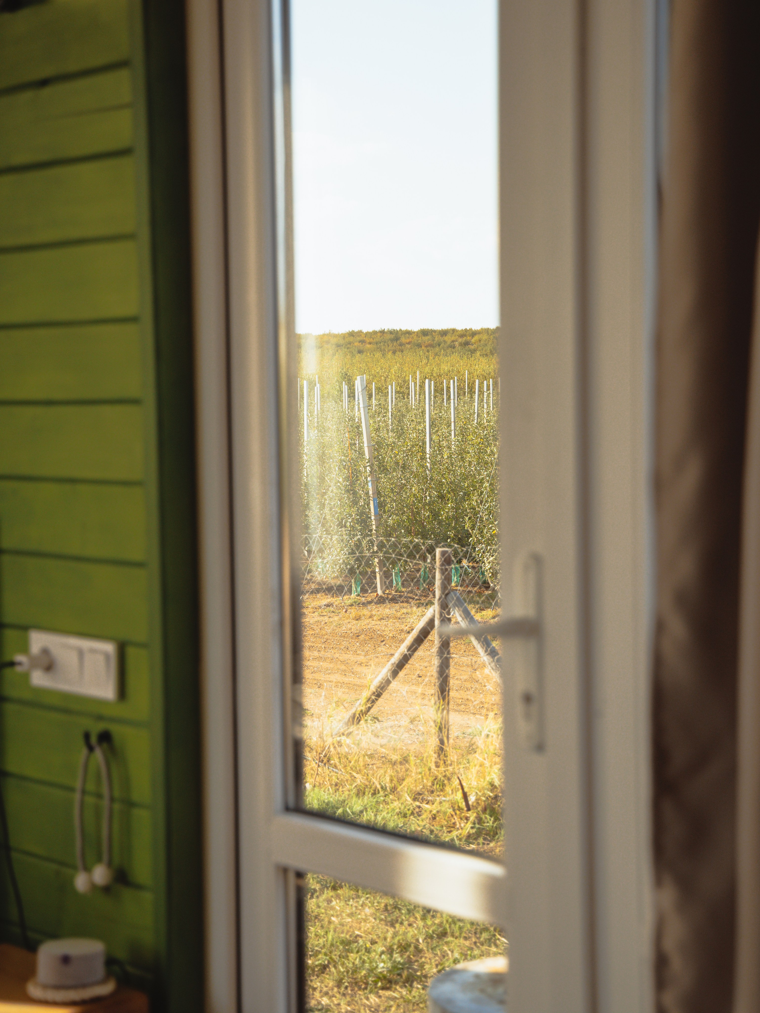 Domik в саду. Артем Корнев Фотограф