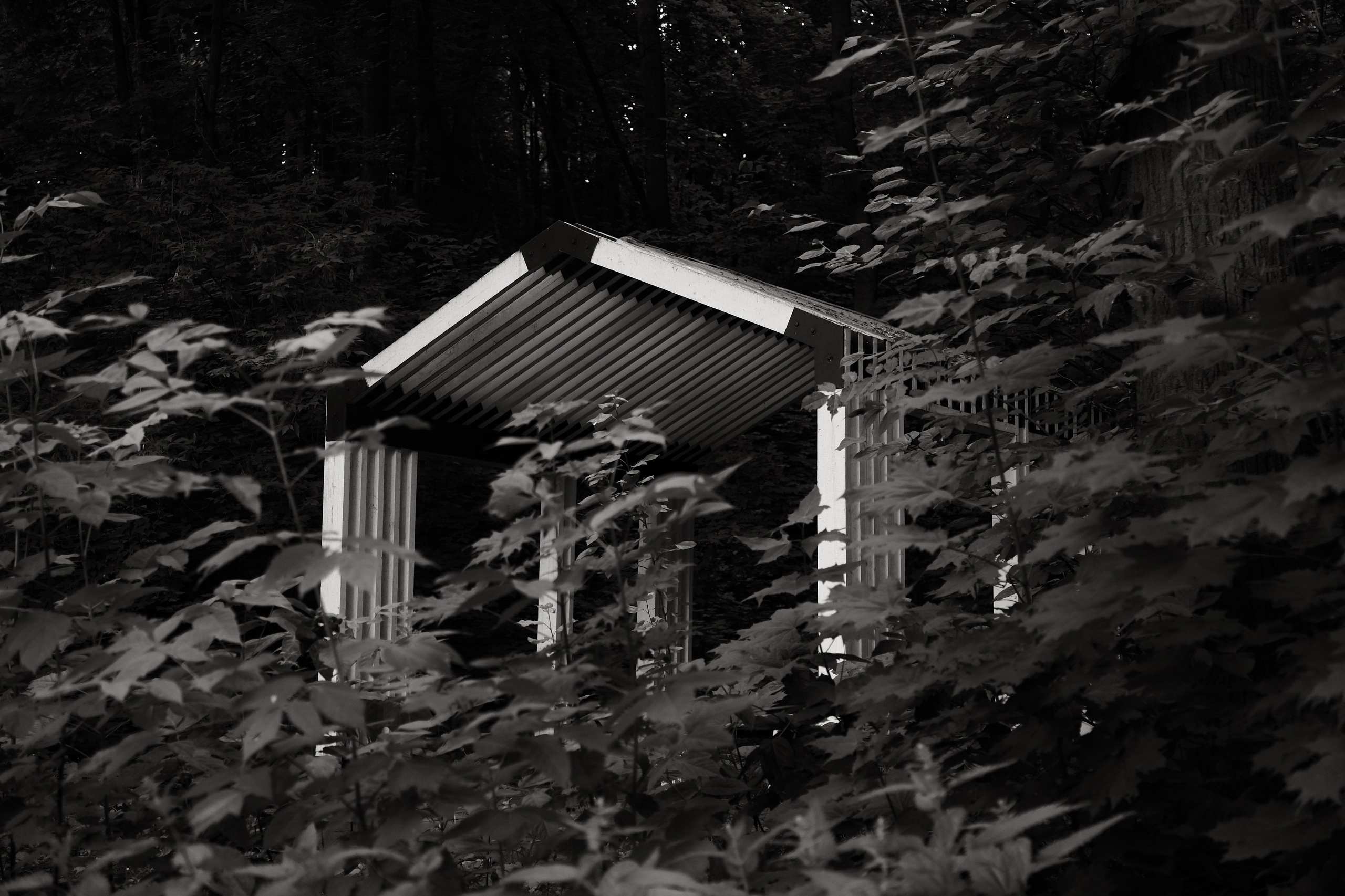 Прогулка по Воробьёвым горам. Фотограф Михаил Ерохин | Москва